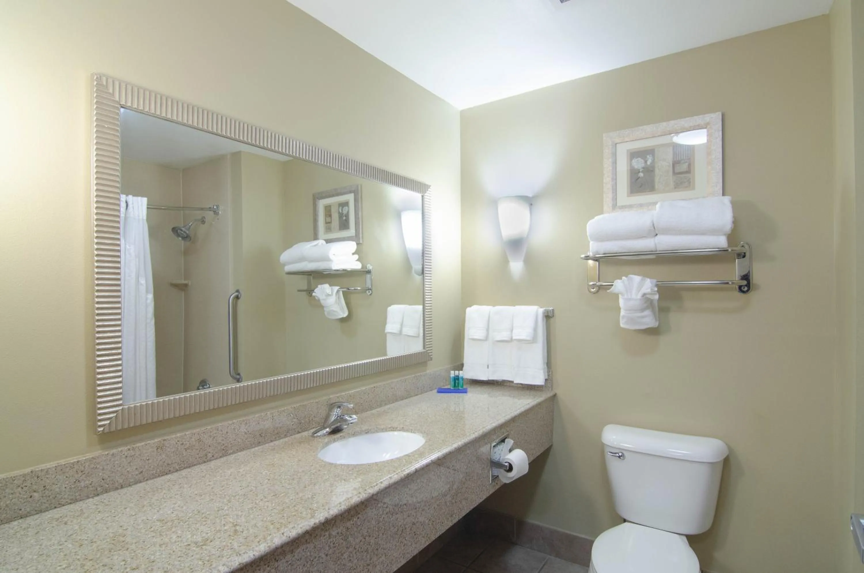 Bathroom in Comfort Suites Mobile-South Alabama University Area