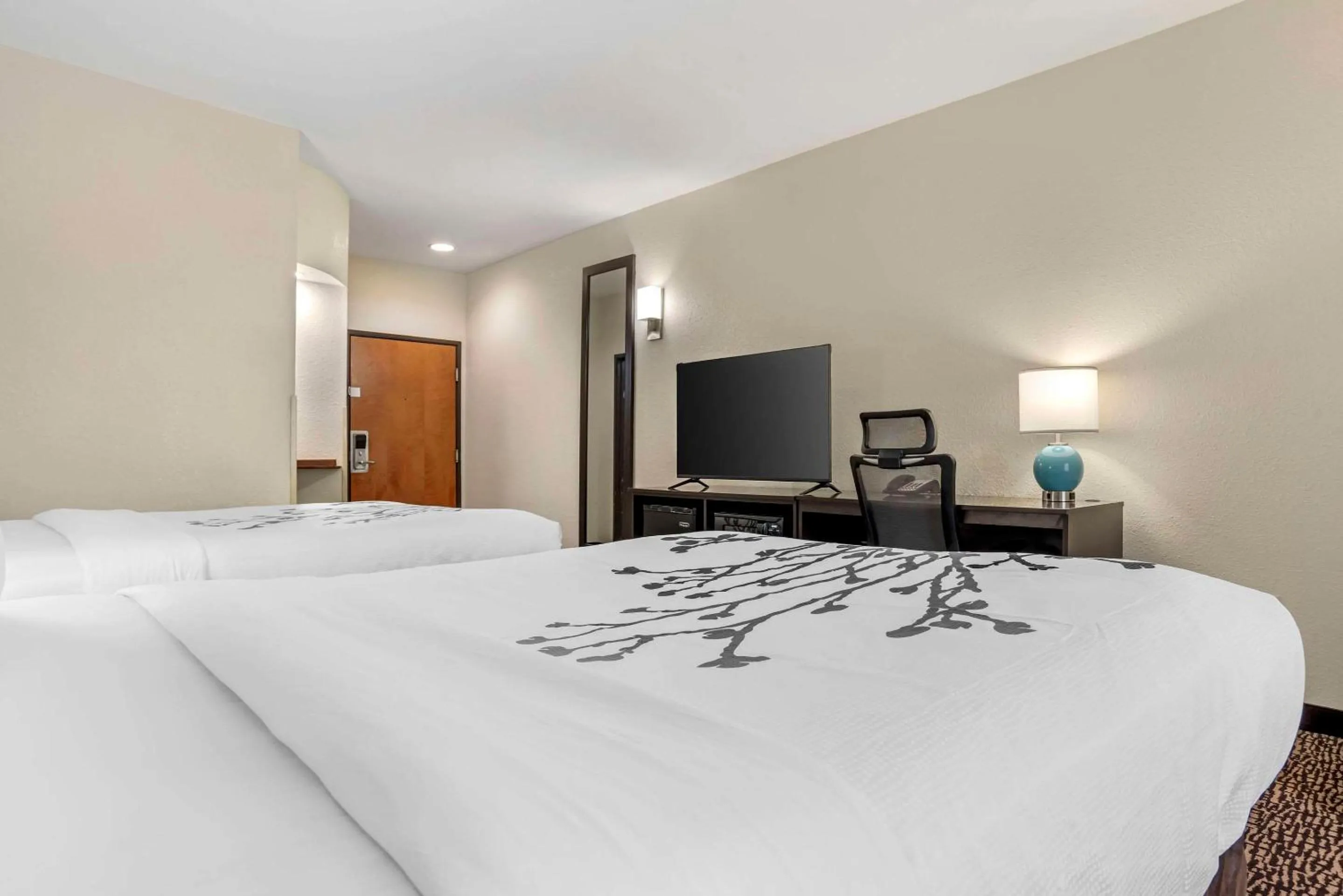 Bedroom, Bed in Sleep Inn & Suites Montgomery East I-85