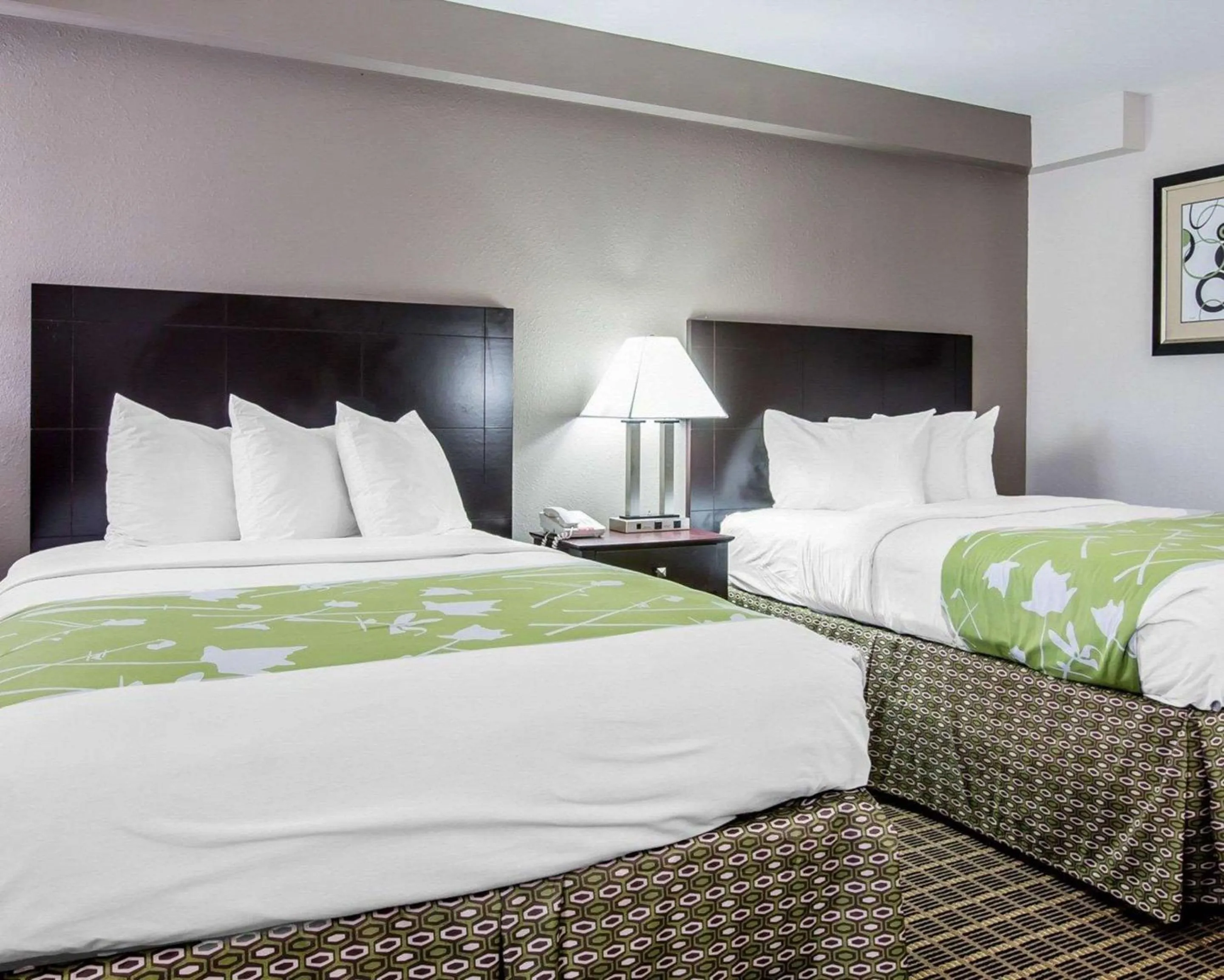 Photo of the whole room, Bed in Econo Lodge Birmingham - Hoover