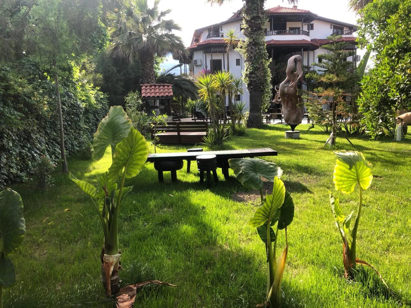 Garden in Murat Pasha Mansion