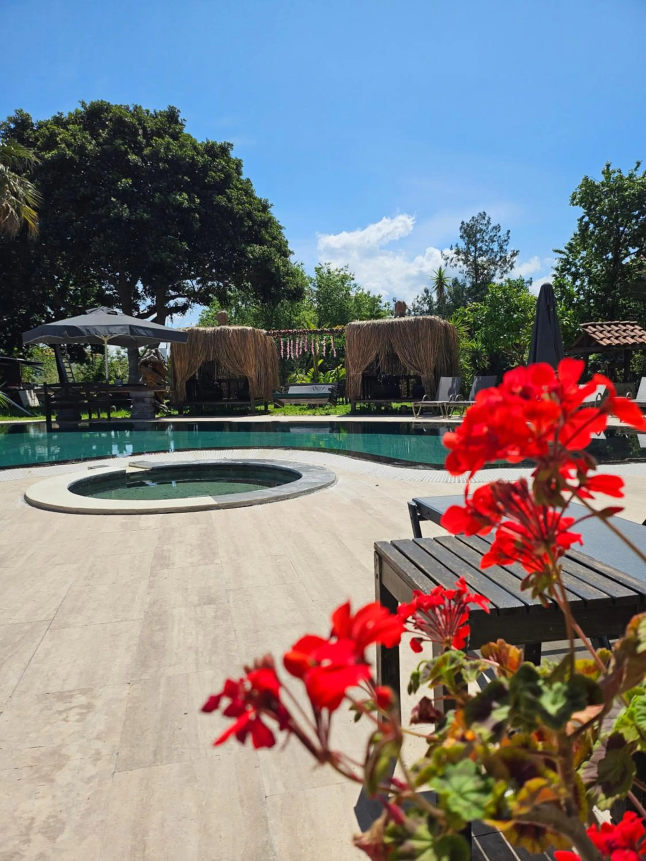 Day in Murat Pasha Mansion