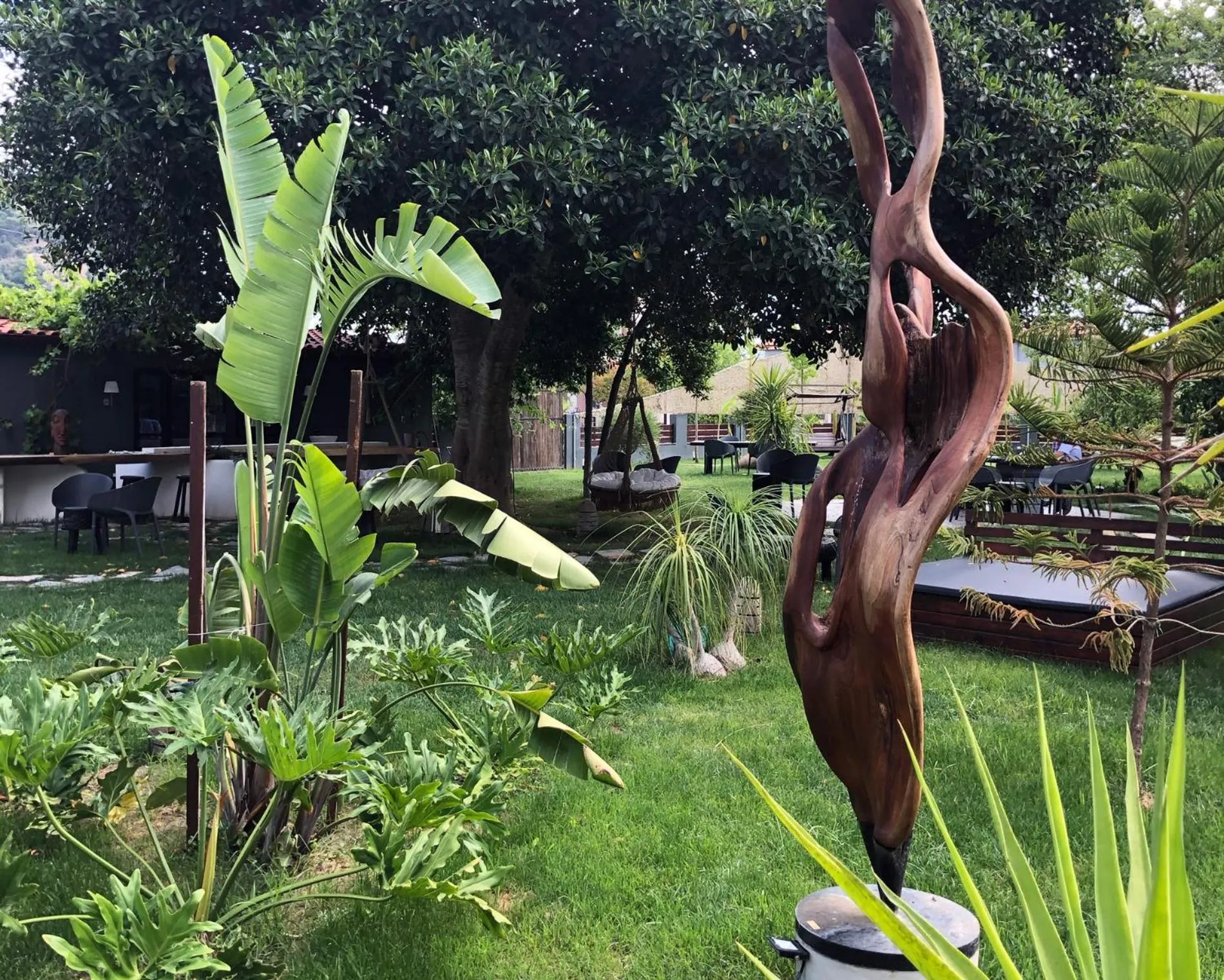 Garden in Murat Pasha Mansion