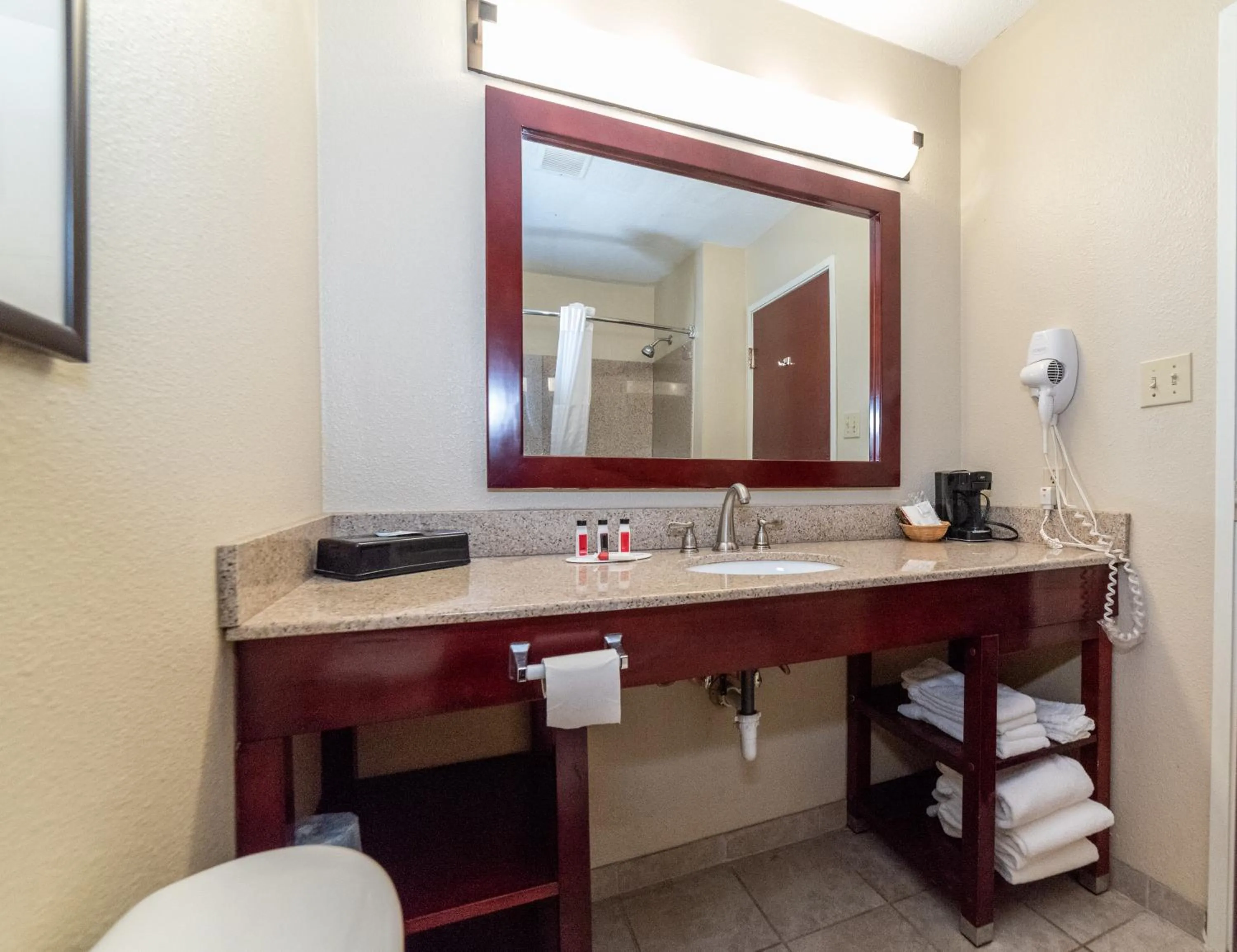 Bathroom in Baymont by Wyndham Caddo Valley/Arkadelphia