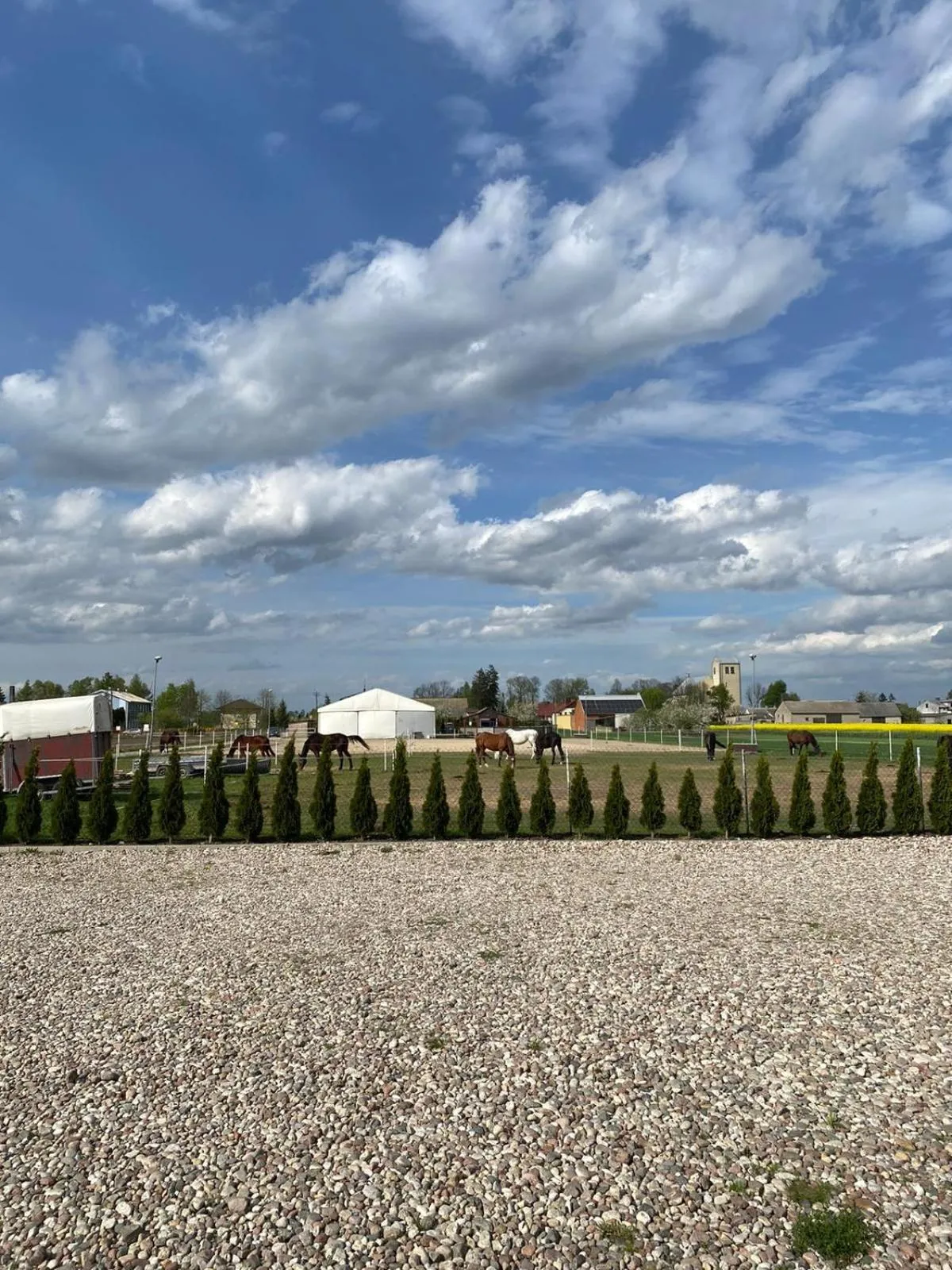 Stajnia Bocianie Gniazdo