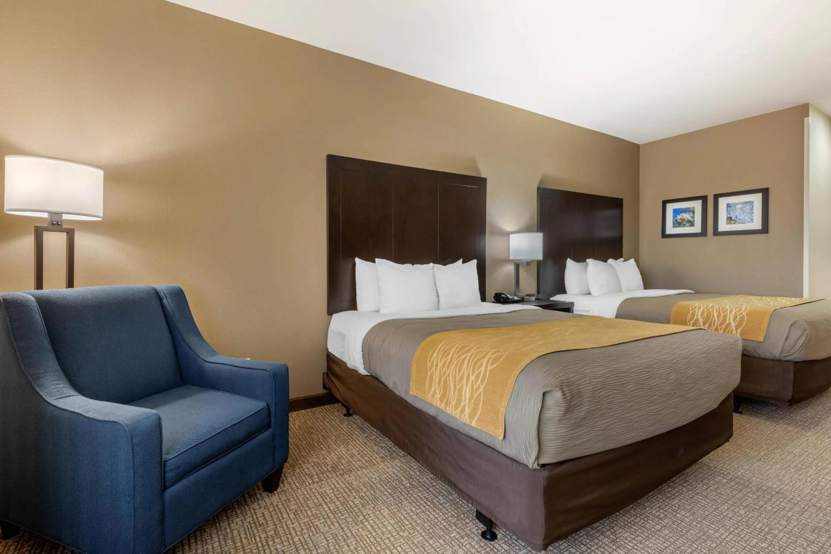Bedroom, Bed in Comfort Inn & Suites North Little Rock McCain Mall