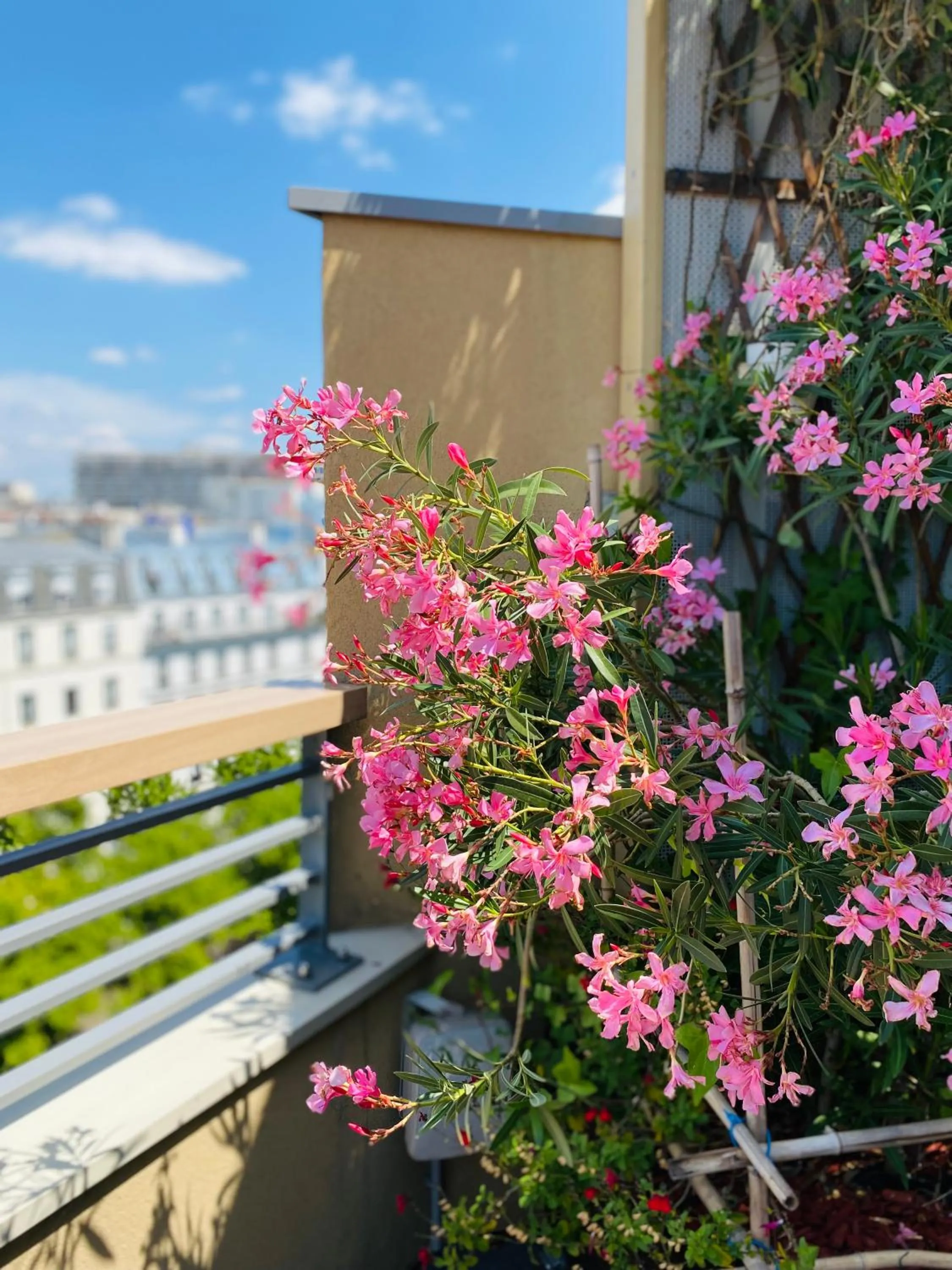 Garden in The People - Paris Bercy