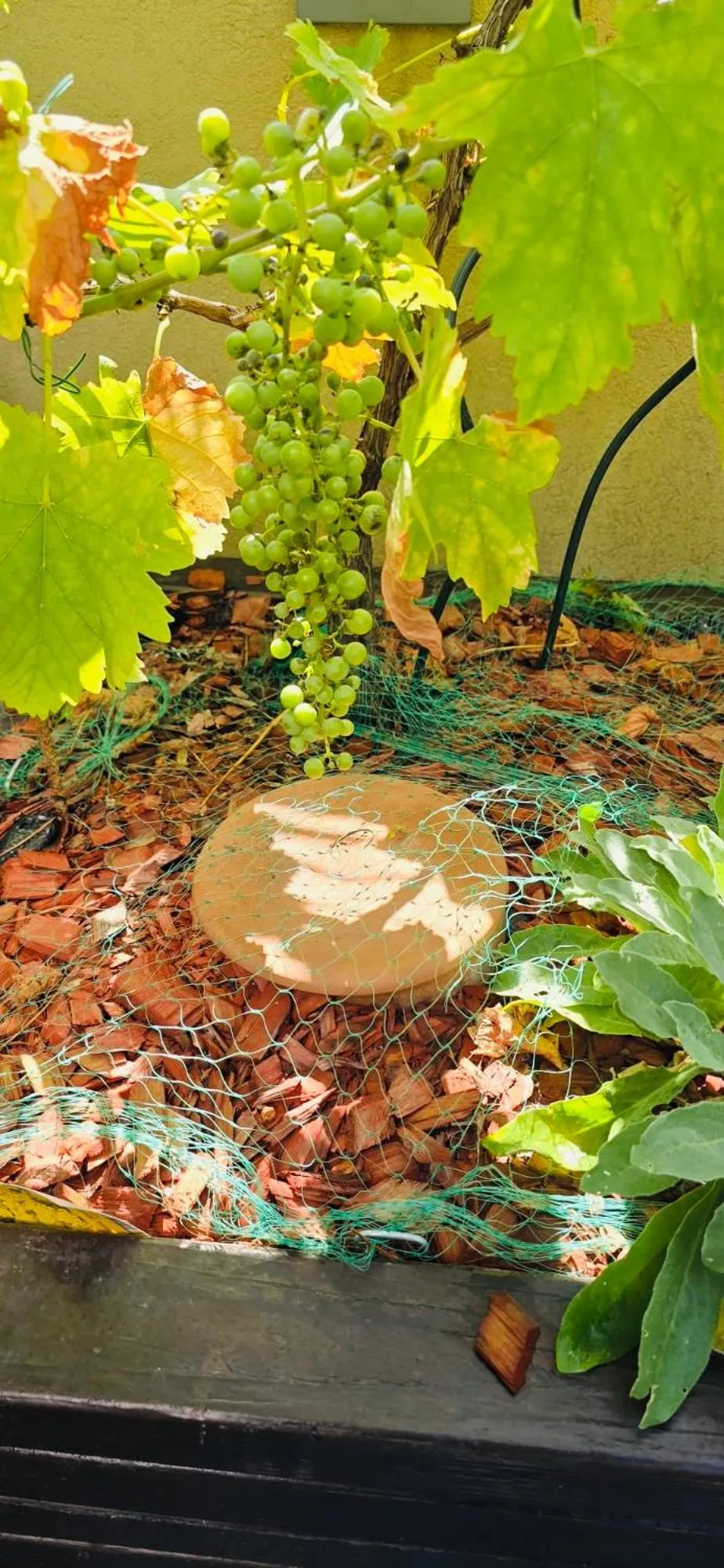 Garden in The People - Paris Bercy