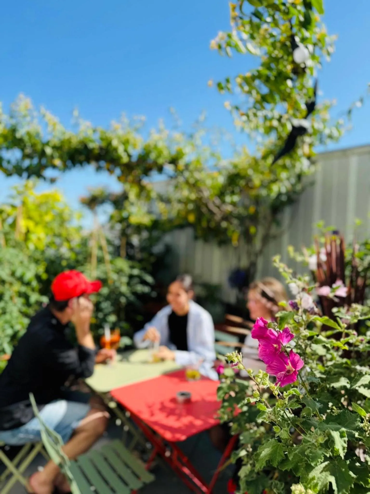 Garden in The People - Paris Bercy