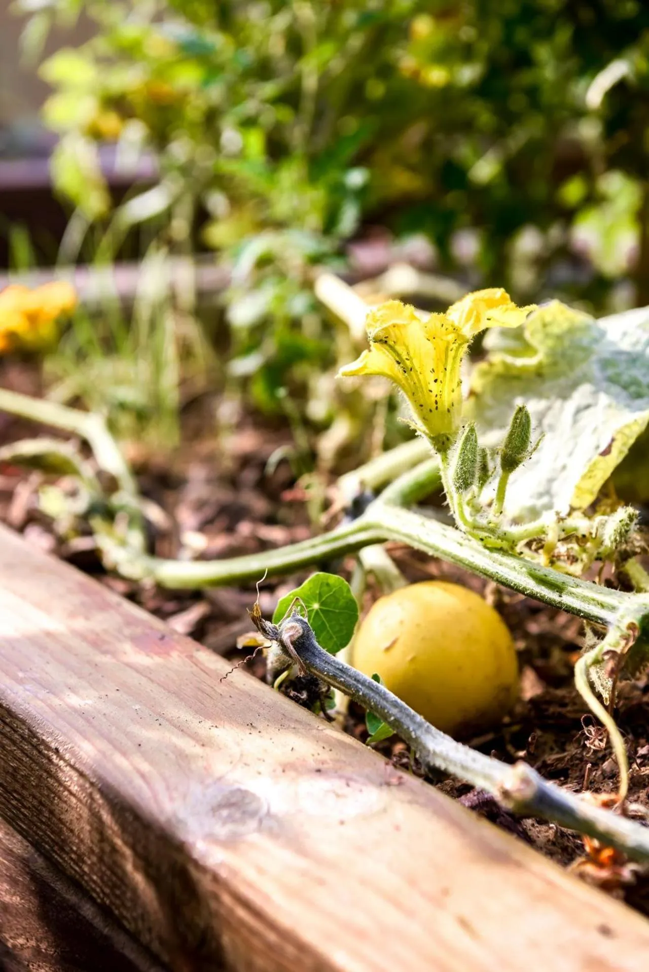 Garden in The People - Paris Bercy