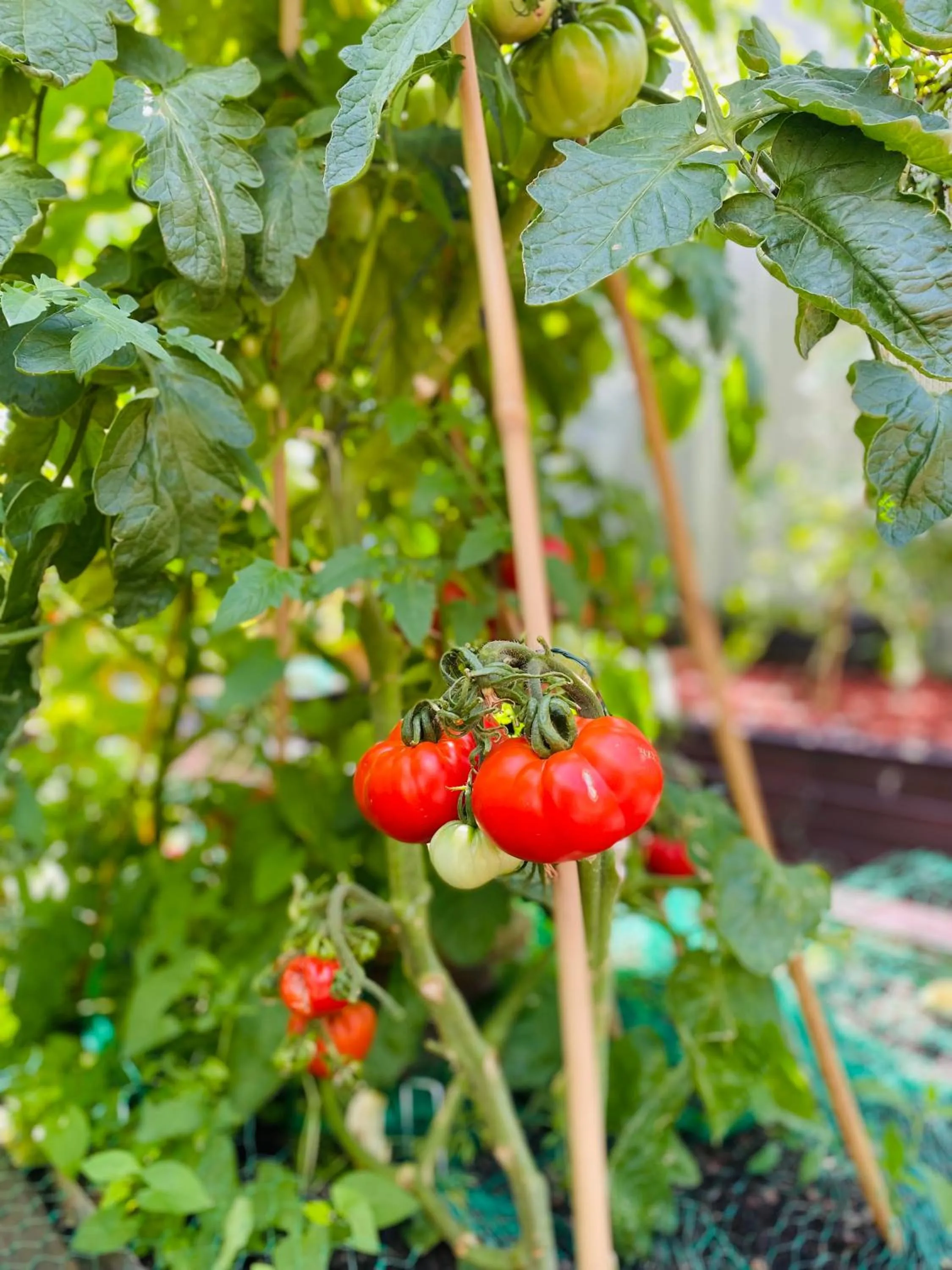 Garden in The People - Paris Bercy