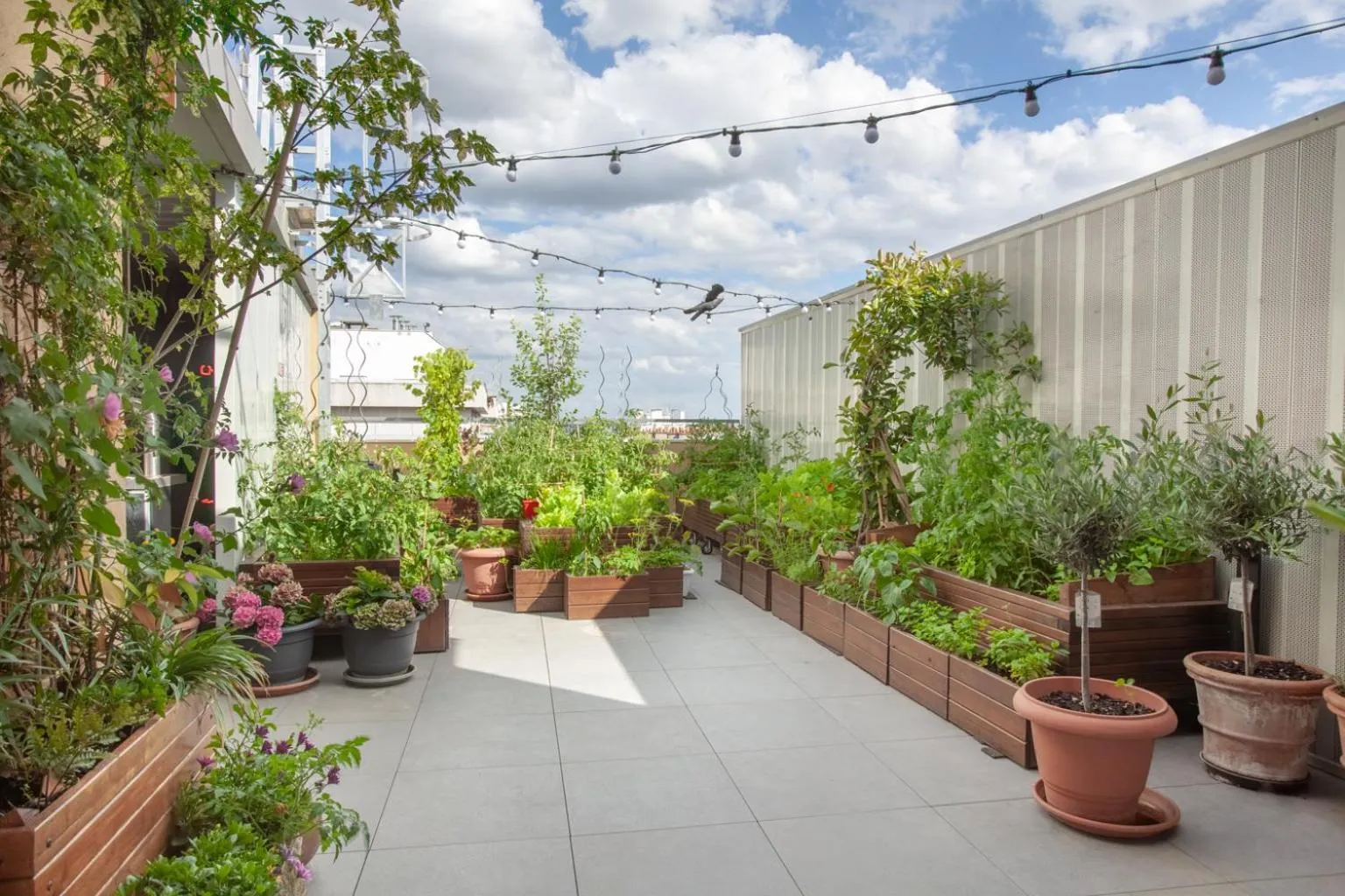 Garden in The People - Paris Bercy