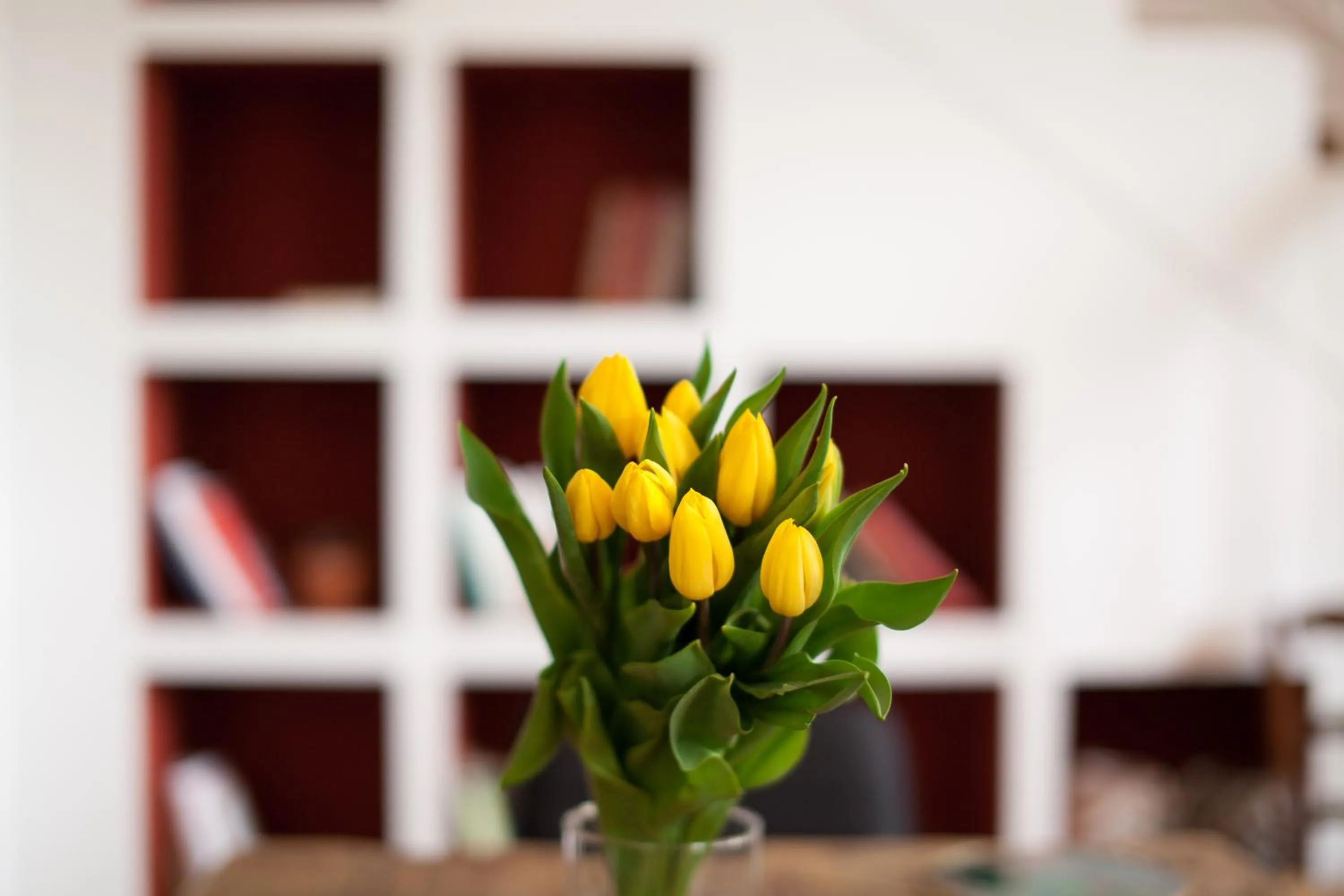 AMERICA NEI BOSCHI B&B