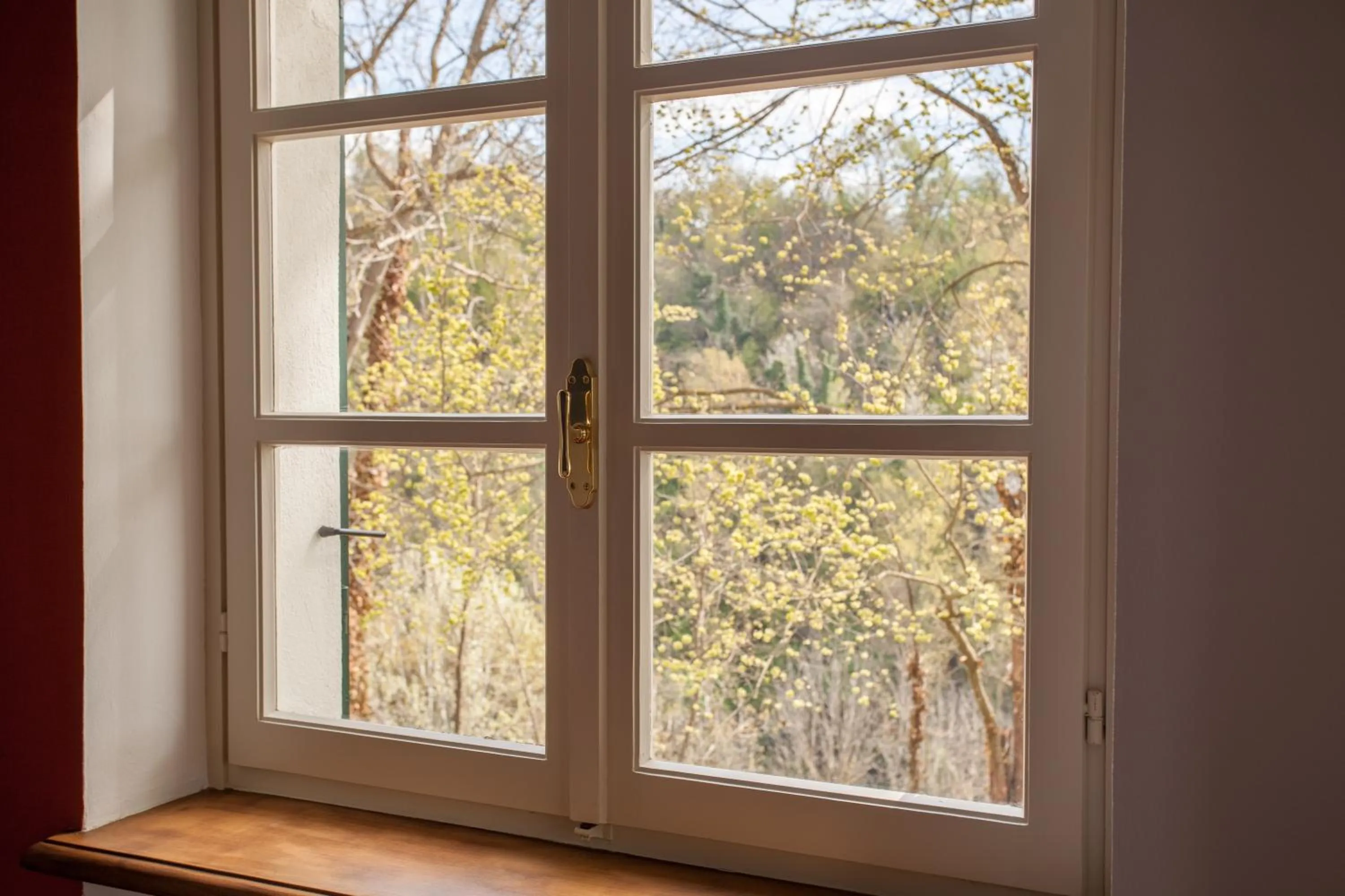 AMERICA NEI BOSCHI B&B