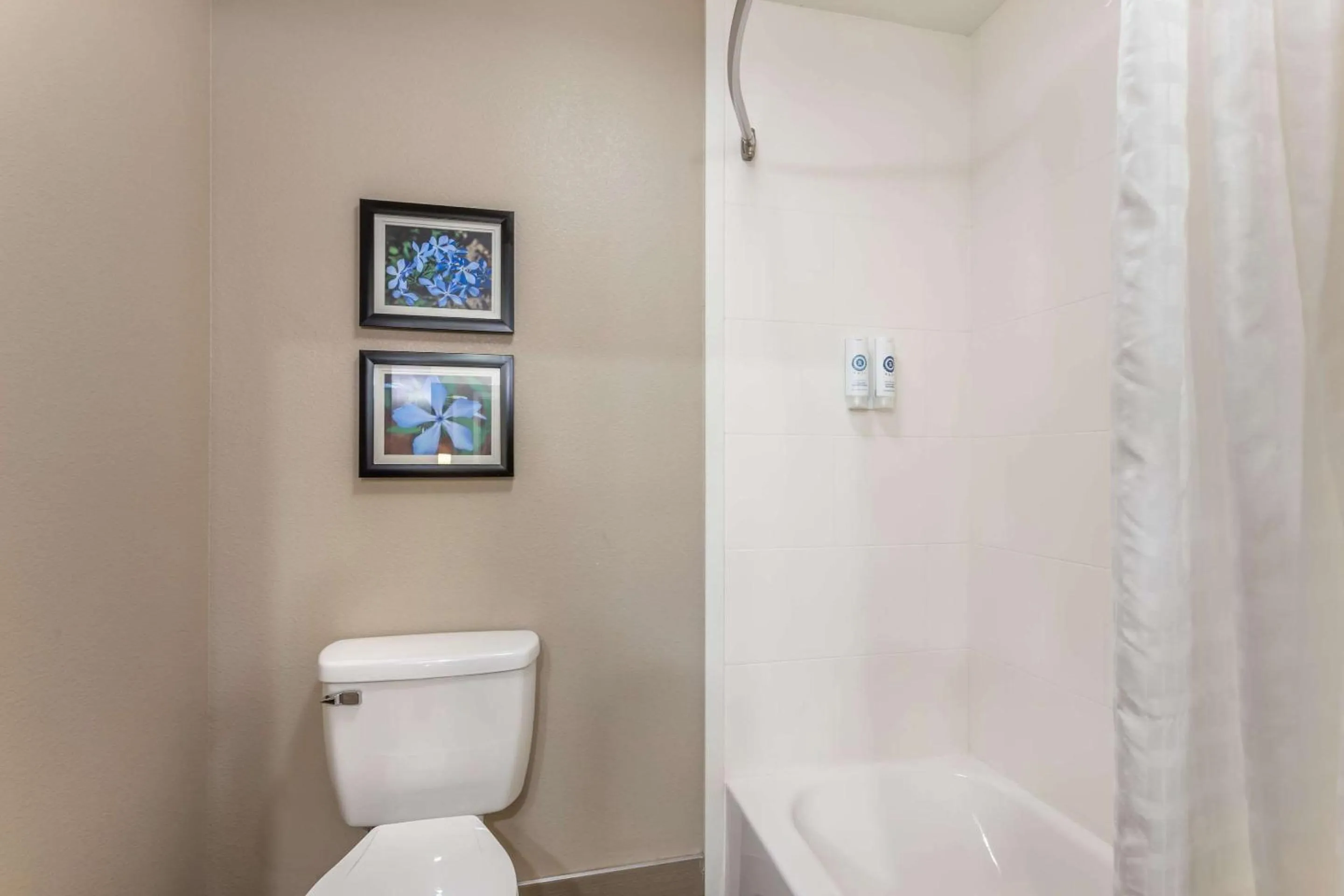 Bedroom in Comfort Inn & Suites Conway