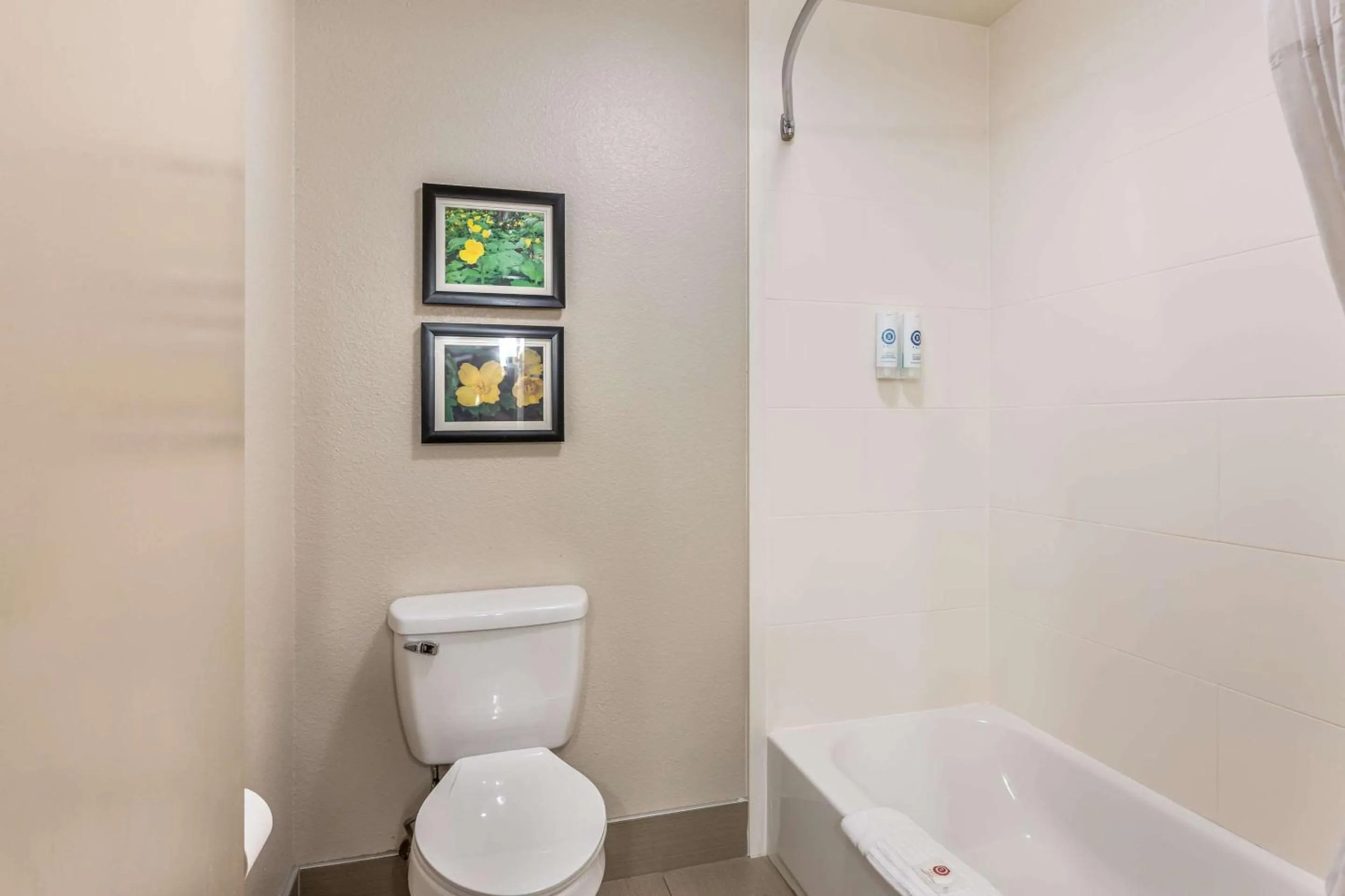 Bedroom in Comfort Inn & Suites Conway