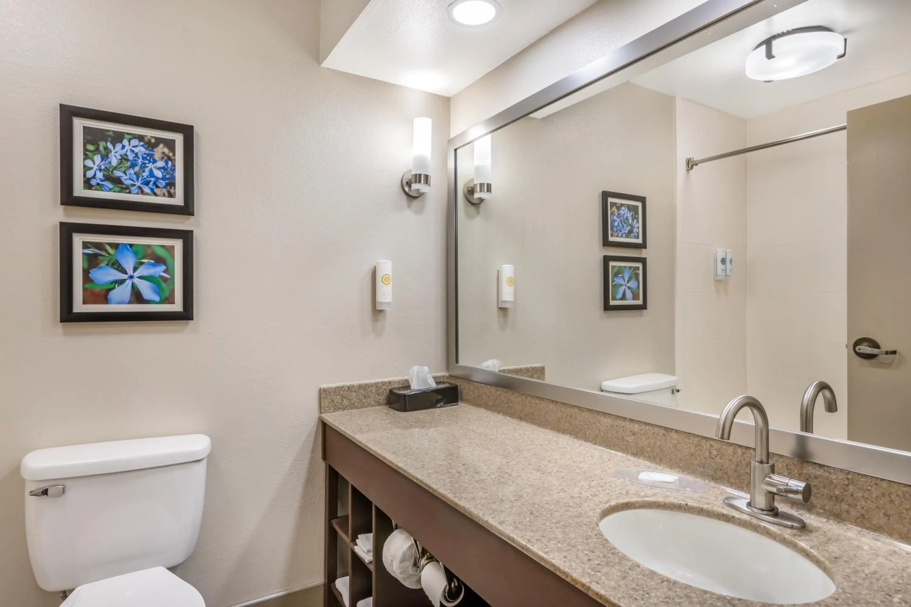 Comfort Inn & Suites Conway