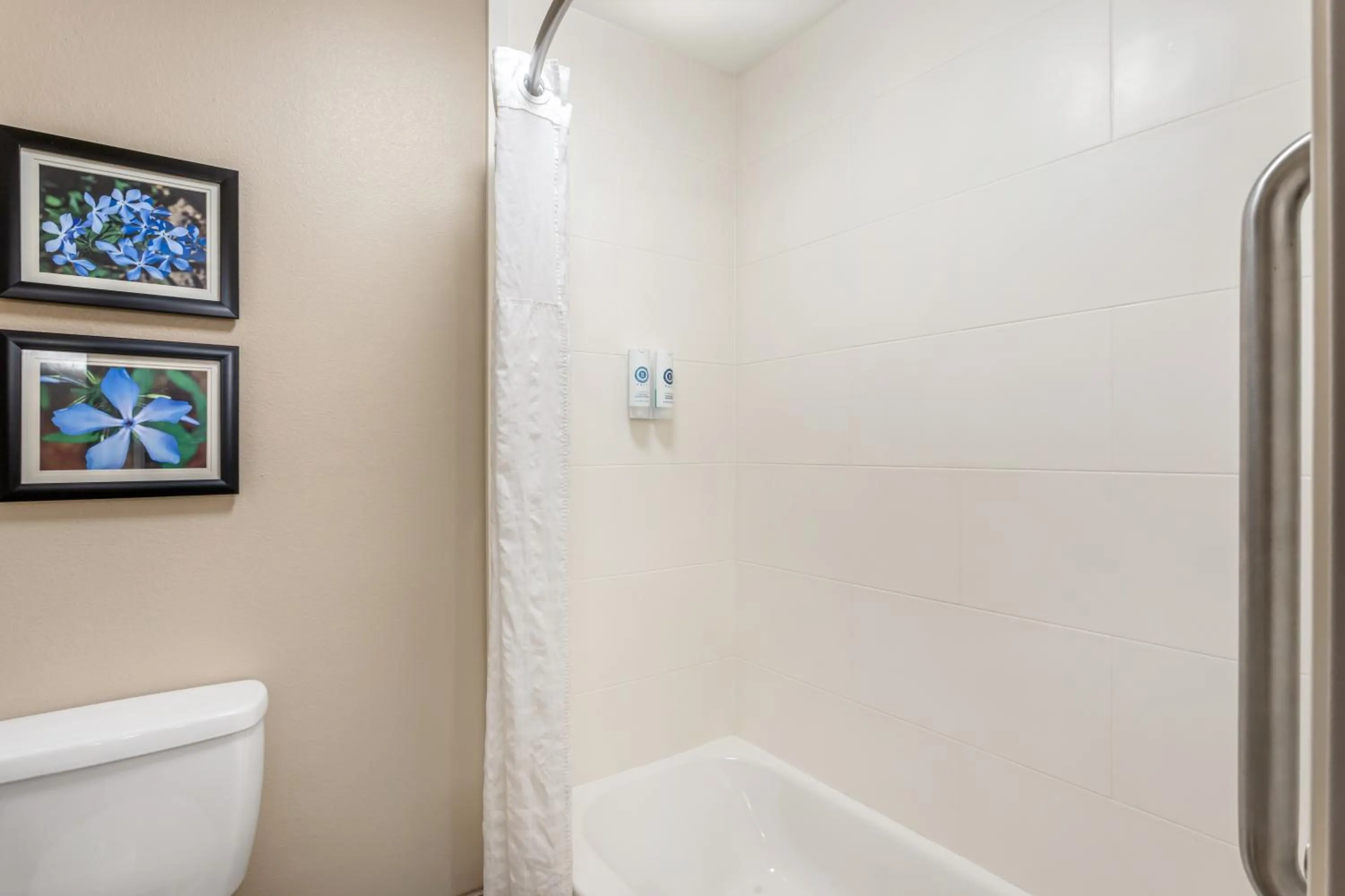 Comfort Inn & Suites Conway