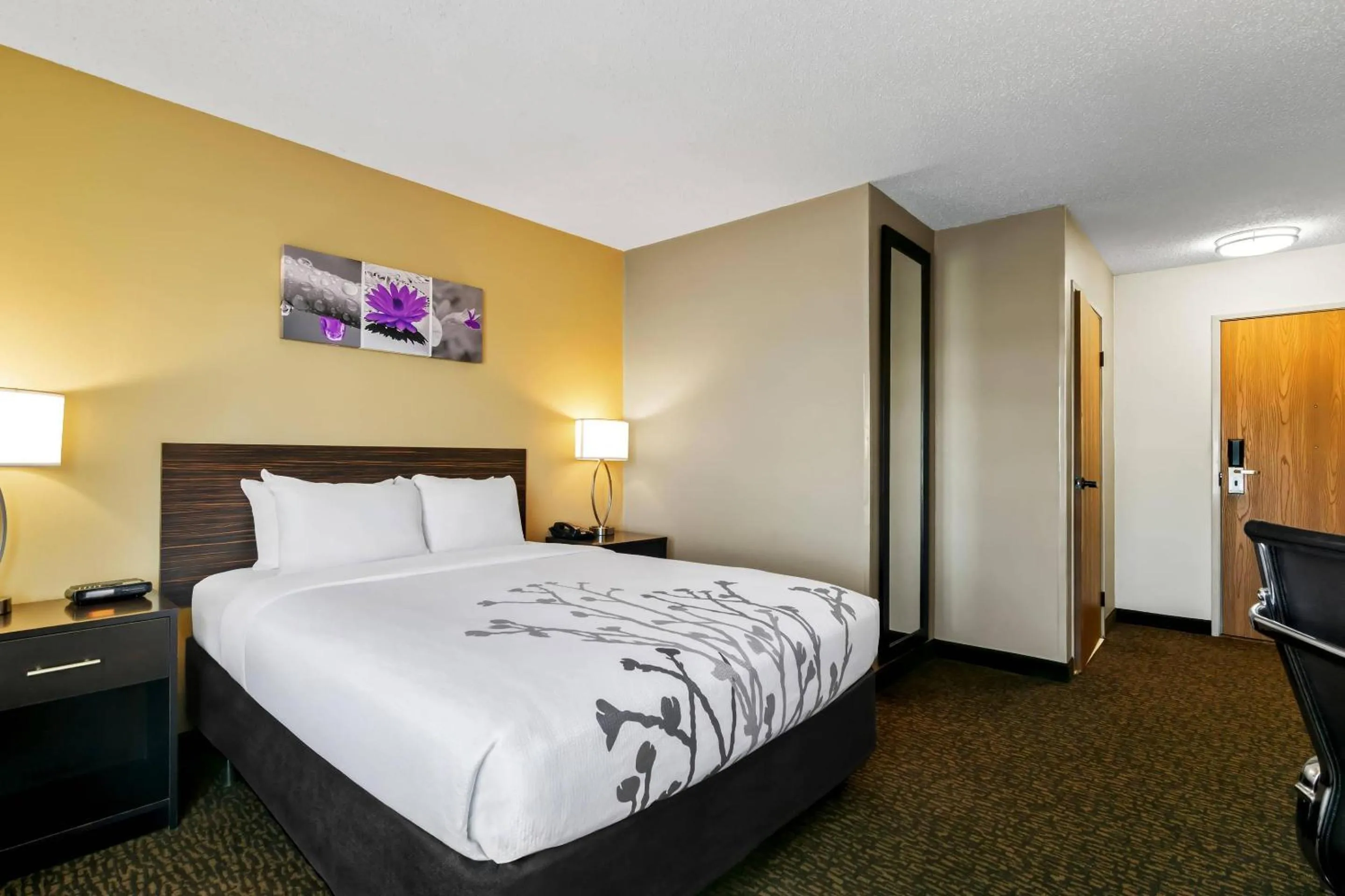 Bedroom, Bed in Sleep Inn Fayetteville North