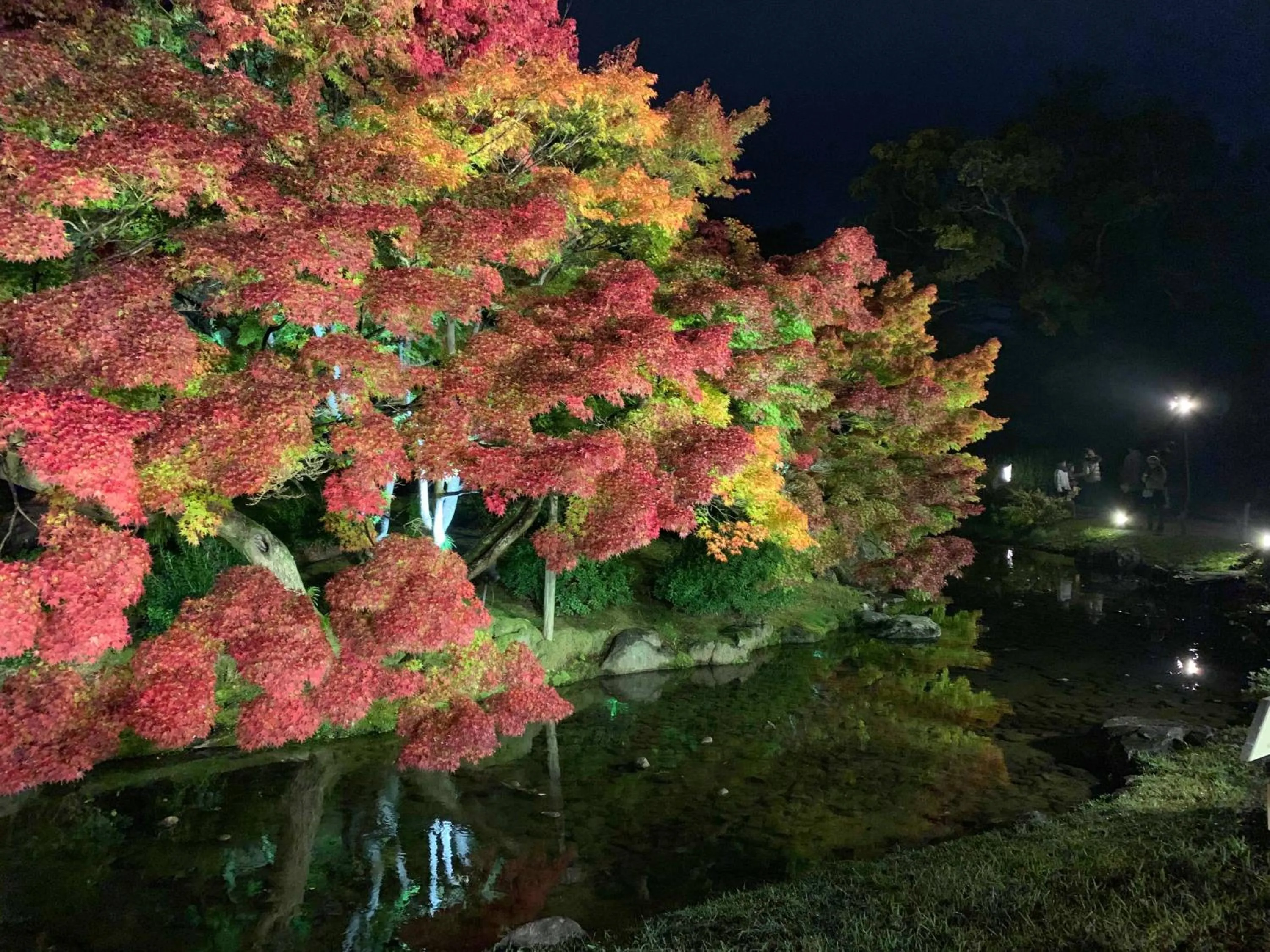 Activities in 777 Takamatsu Guest House