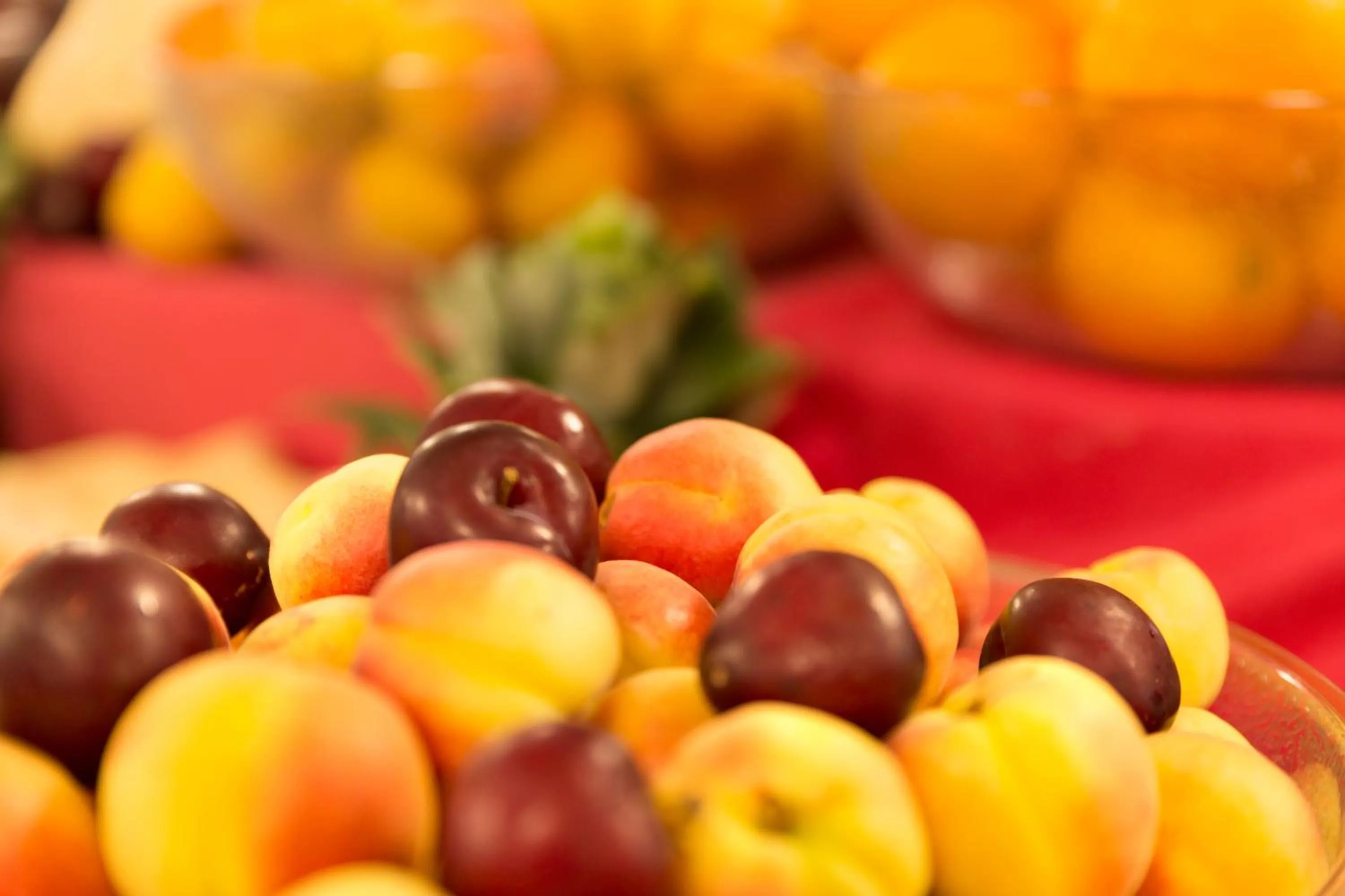 Food close-up in Hotel Izán Cavanna
