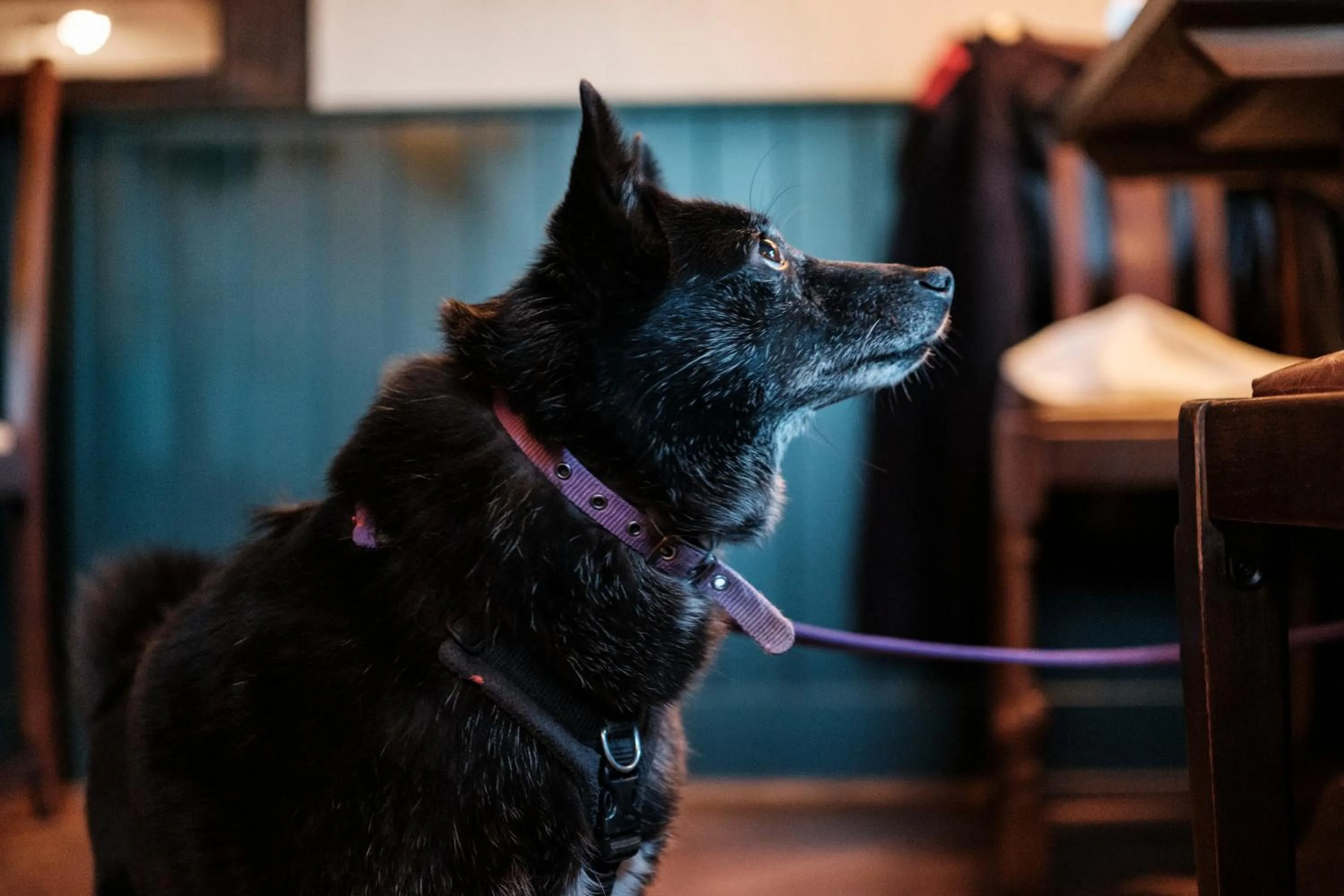 Lounge or bar in The Pilgrim Inn