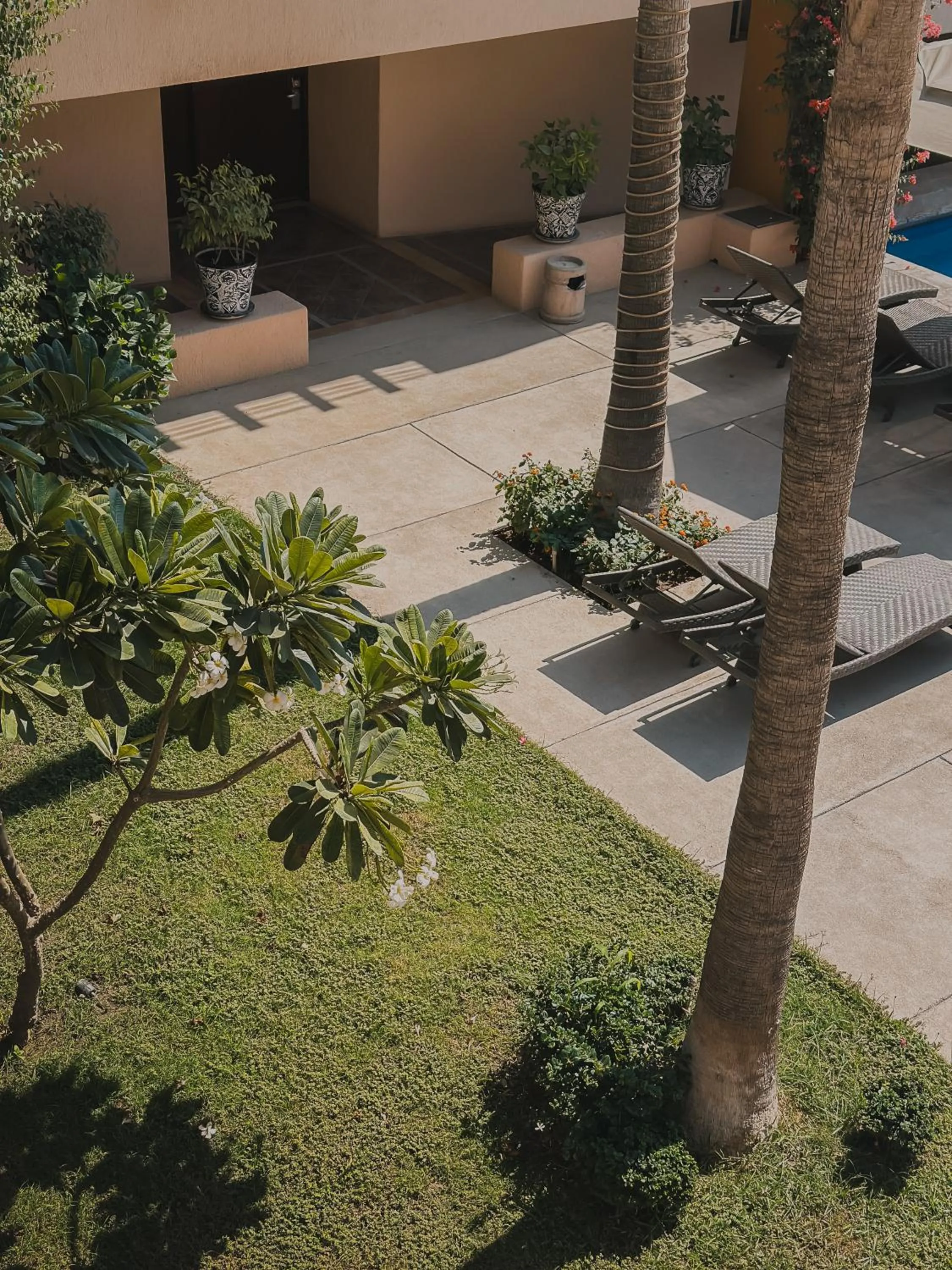 Day in Hotel Los Patios