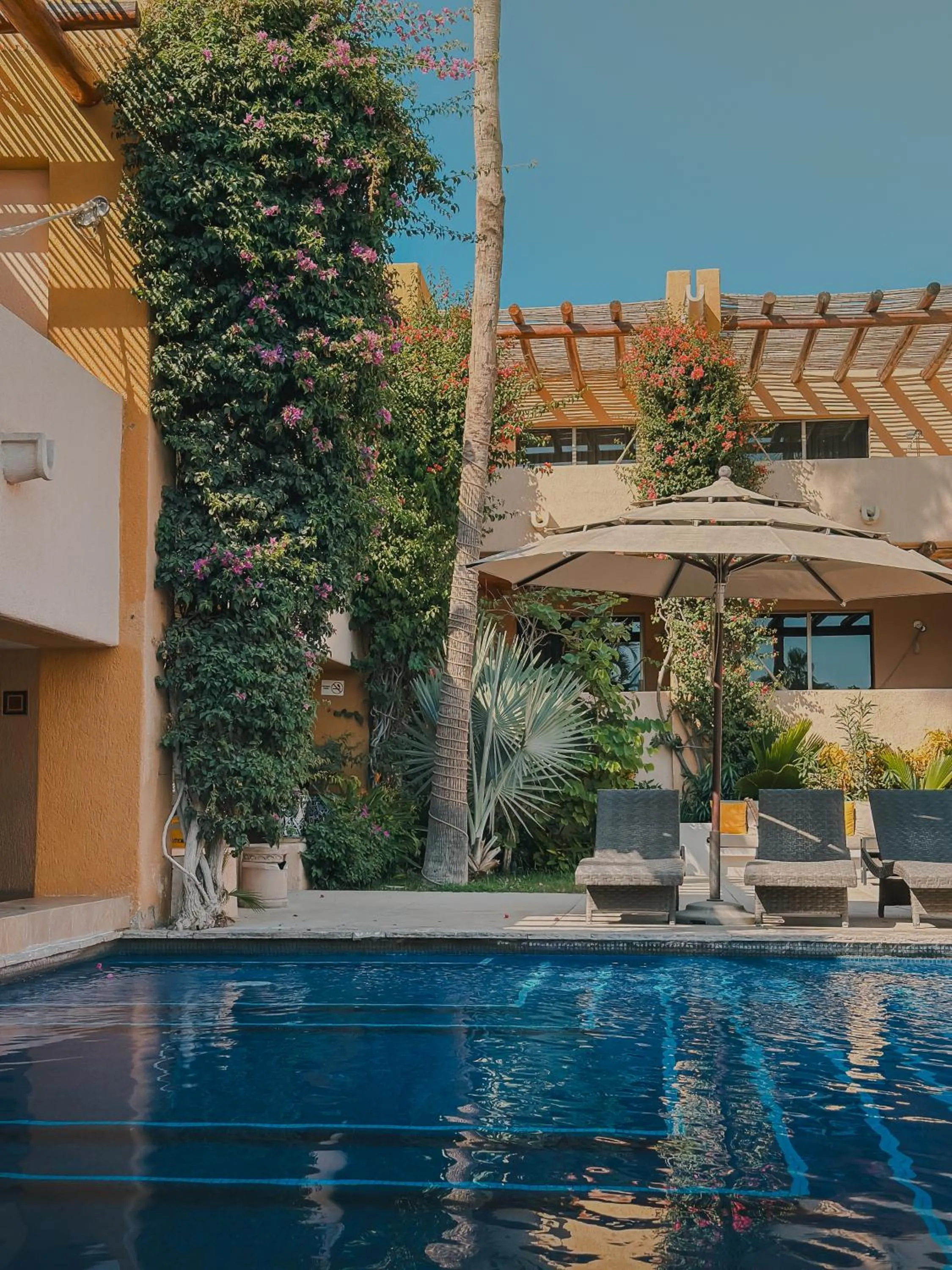 Pool view in Hotel Los Patios