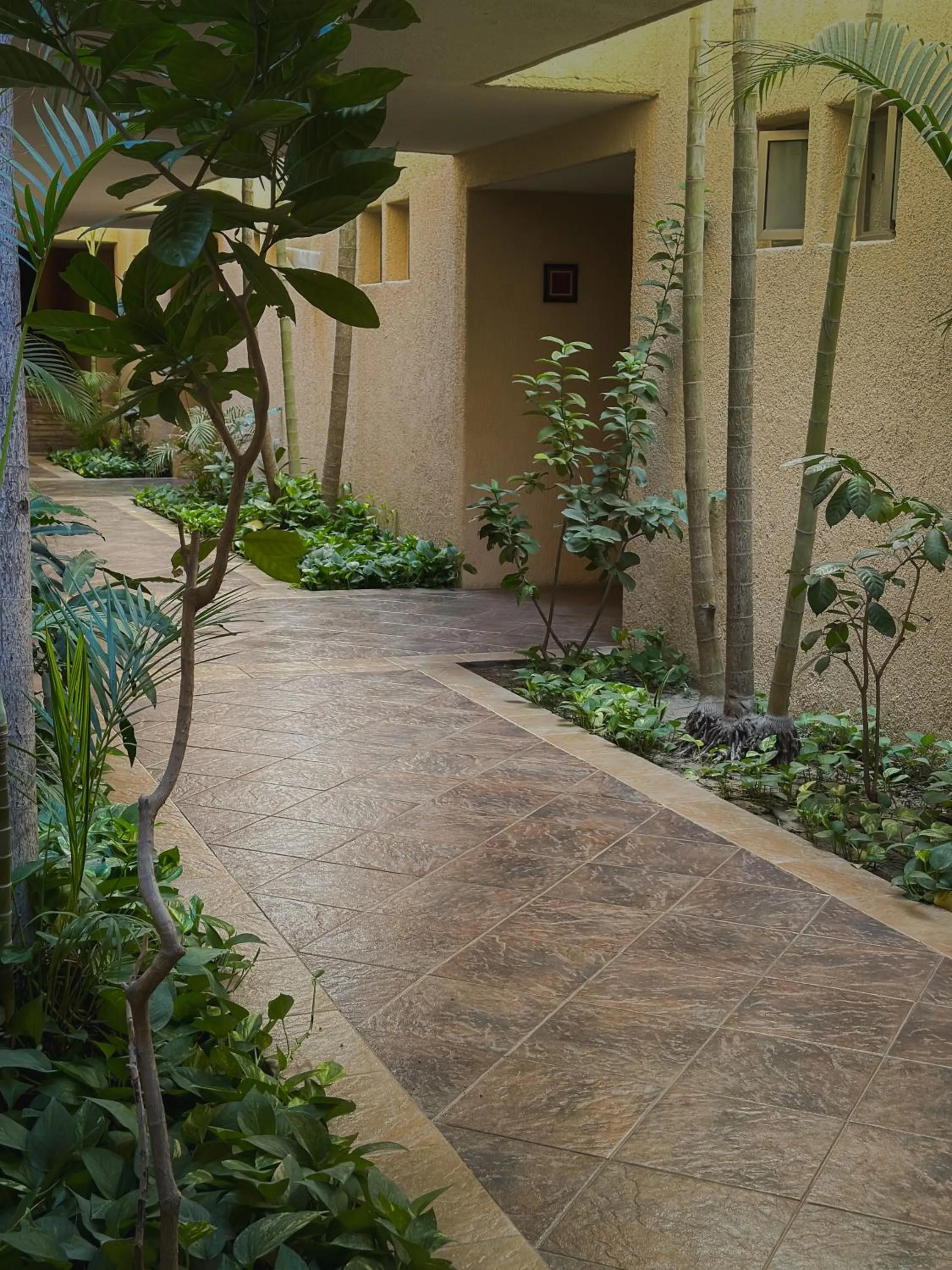 Property building in Hotel Los Patios