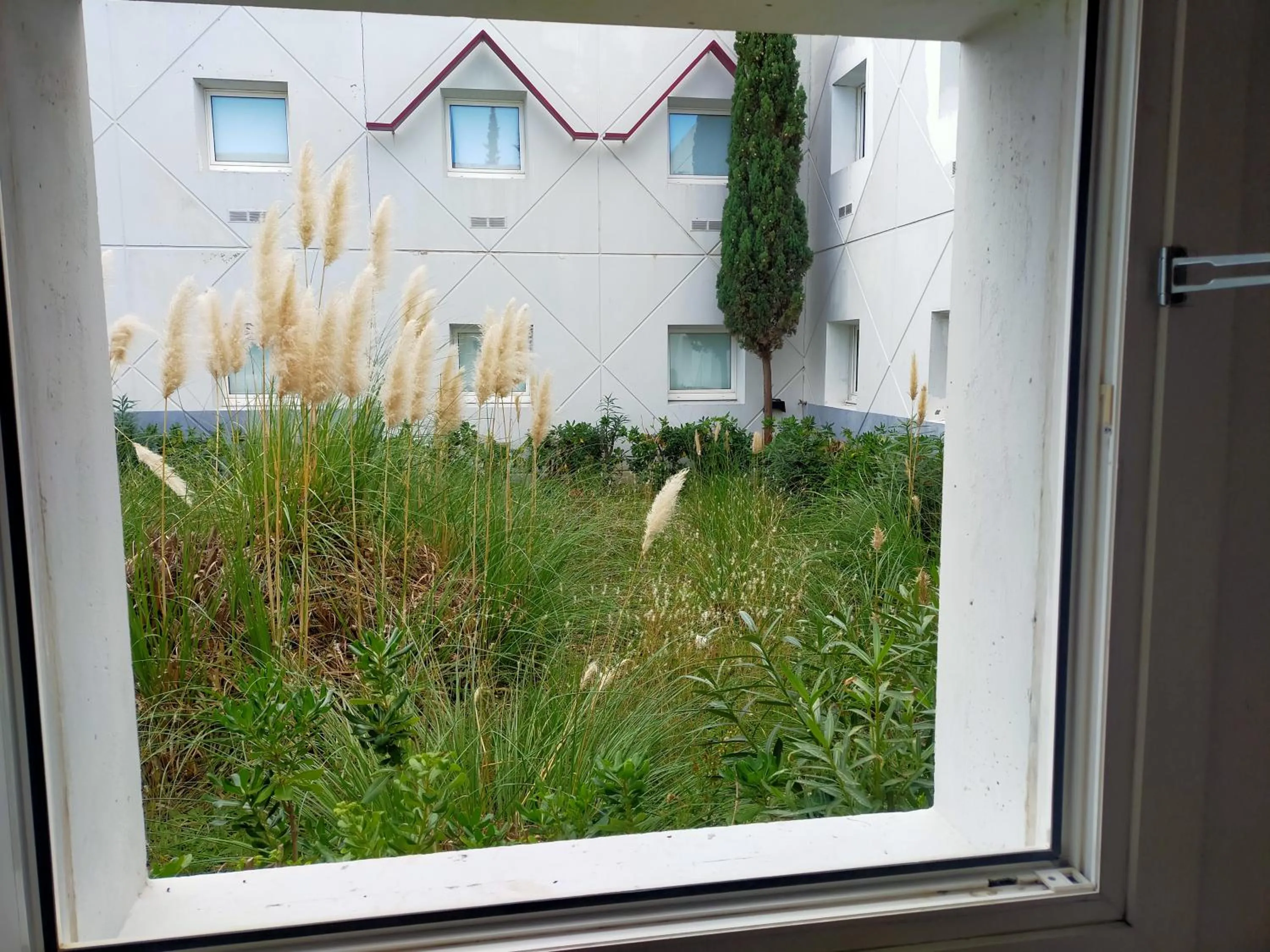 Garden view in HOTEL THANIA