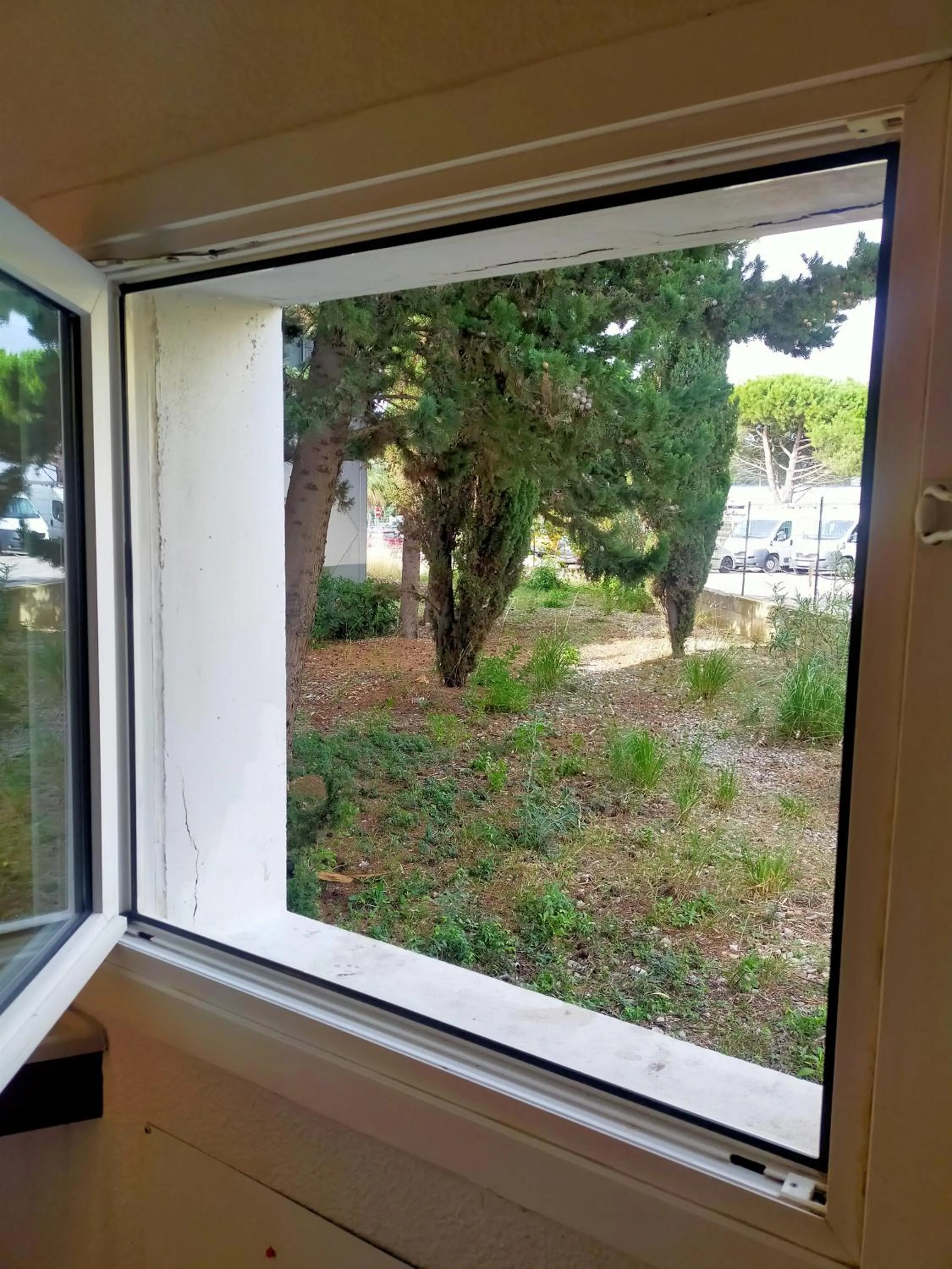 Garden view in HOTEL THANIA