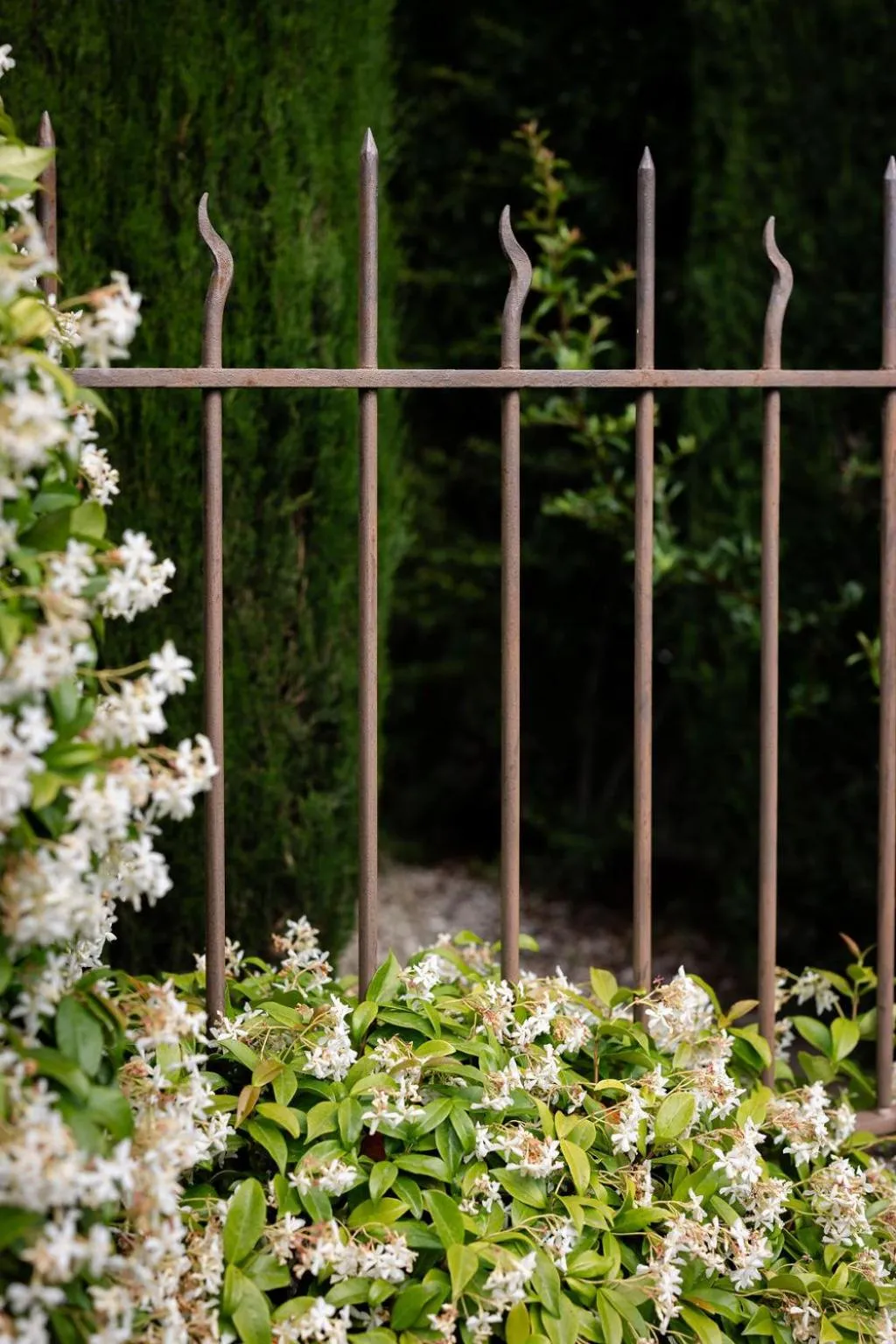 Garden in LA FERME DE LA HUPPE