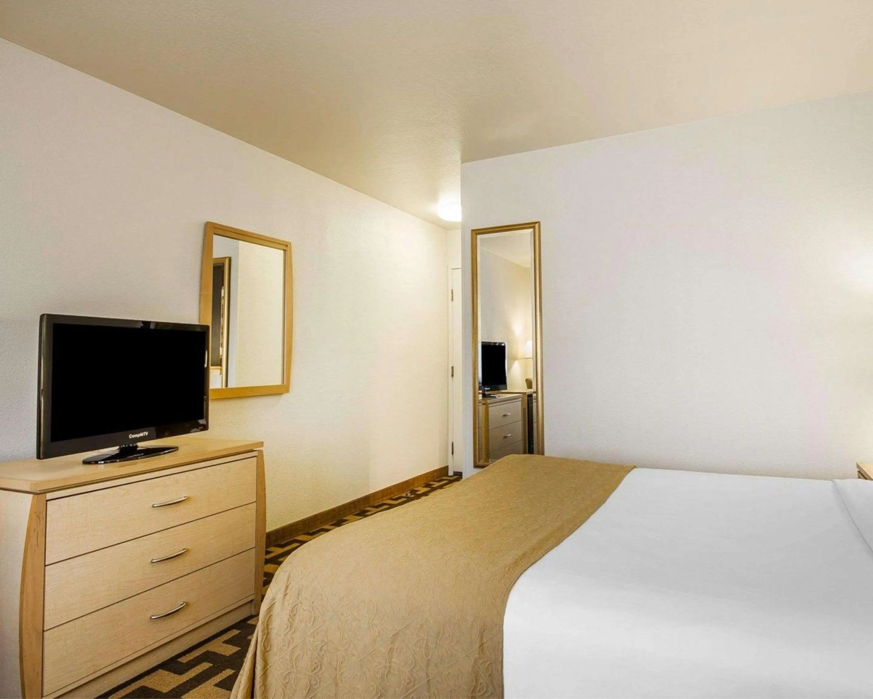 Photo of the whole room, Bed in Quality Inn Petaluma - Sonoma