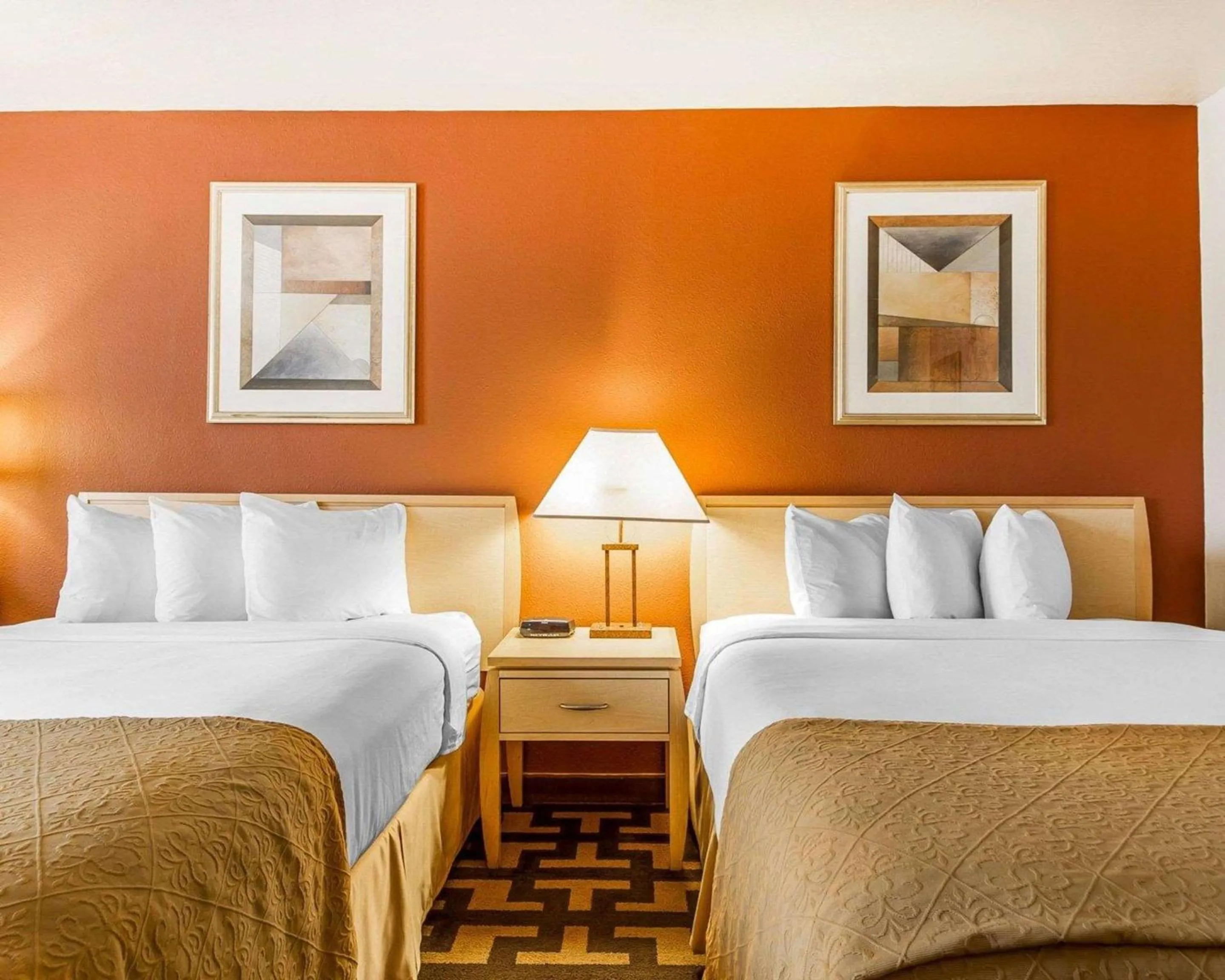 Photo of the whole room, Bed in Quality Inn Petaluma - Sonoma