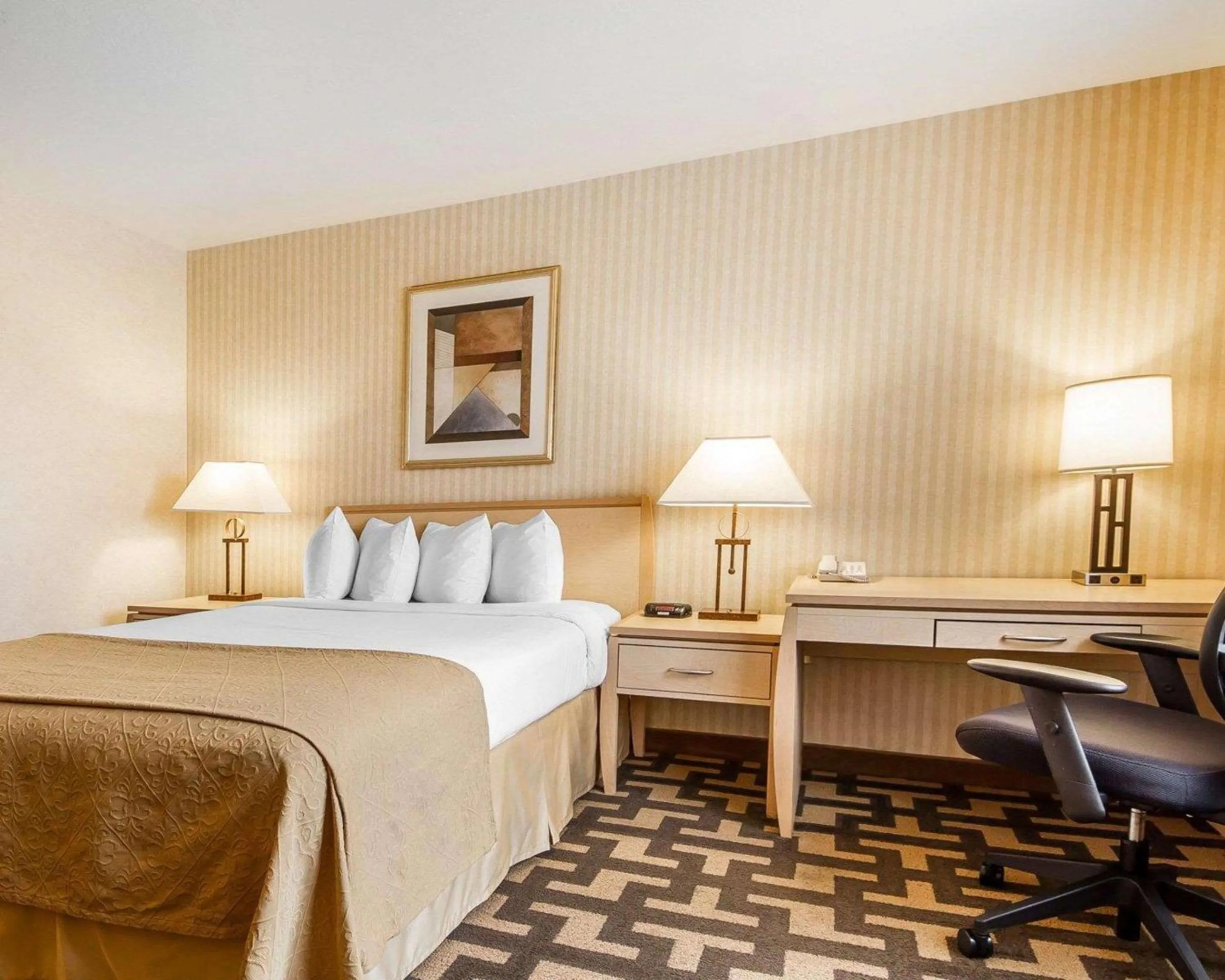 Photo of the whole room, Bed in Quality Inn Petaluma - Sonoma