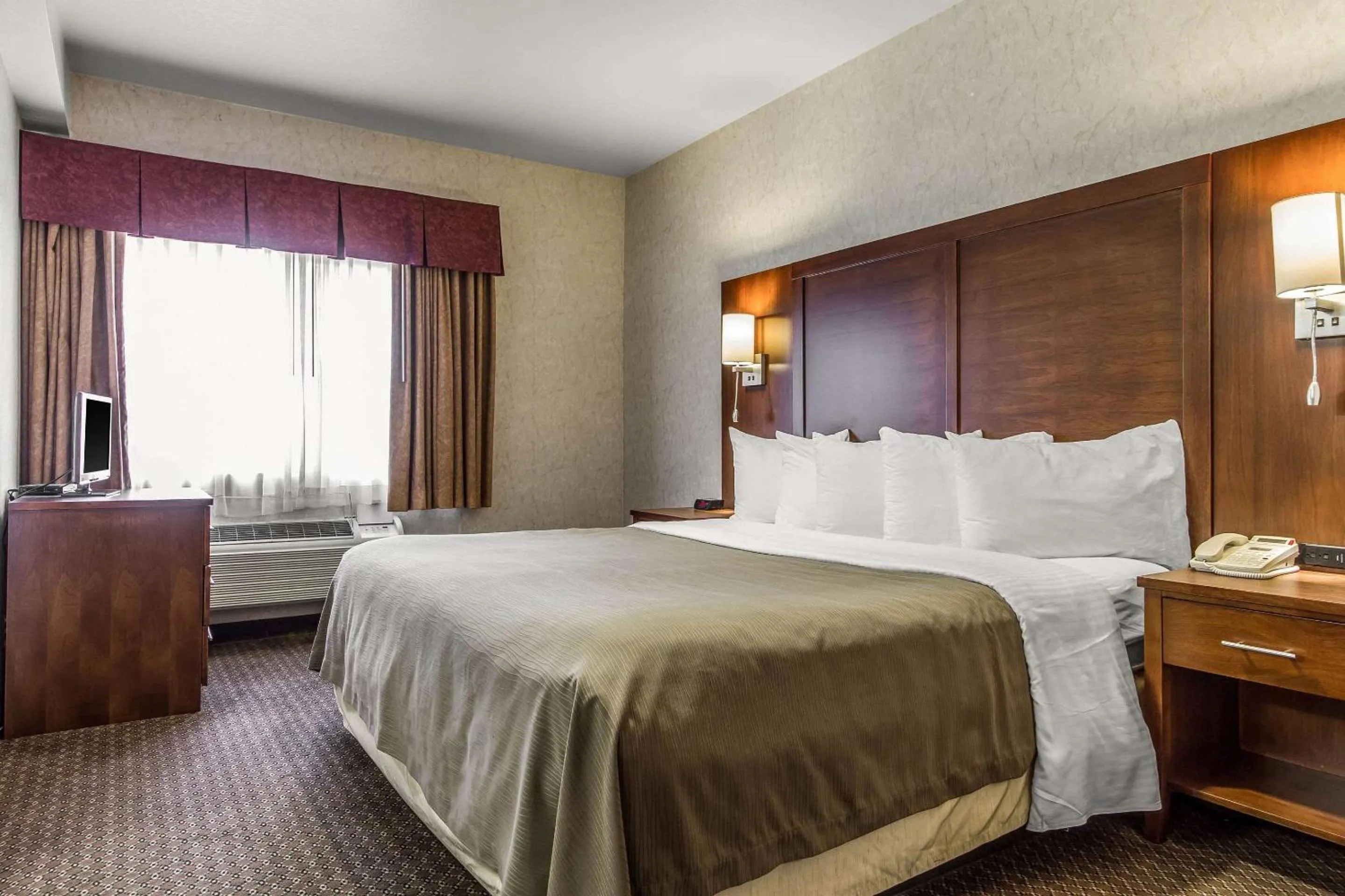 Photo of the whole room, Bed in Quality Inn