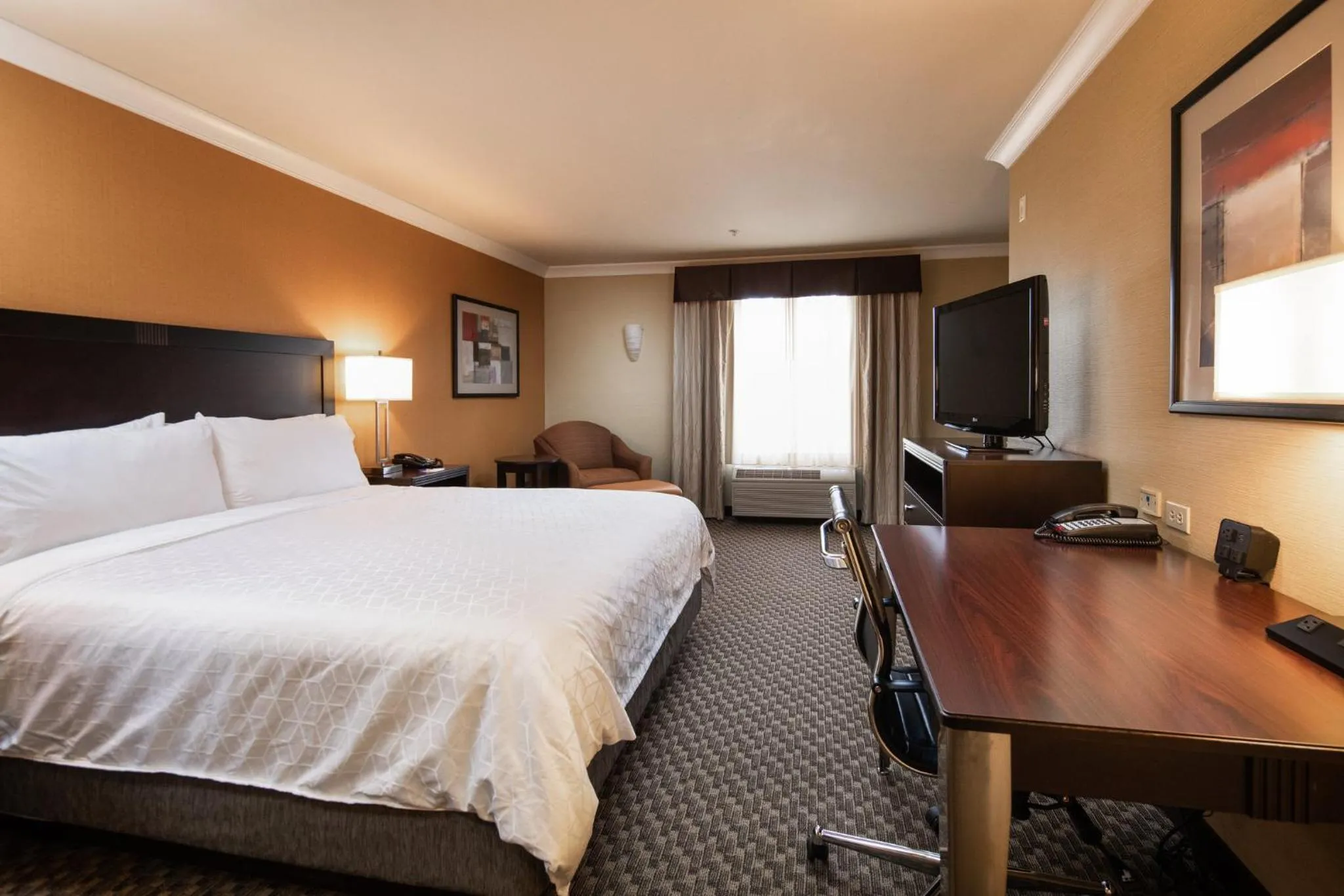 Photo of the whole room, Bed in Holiday Inn Express Castro Valley - I-580 by IHG