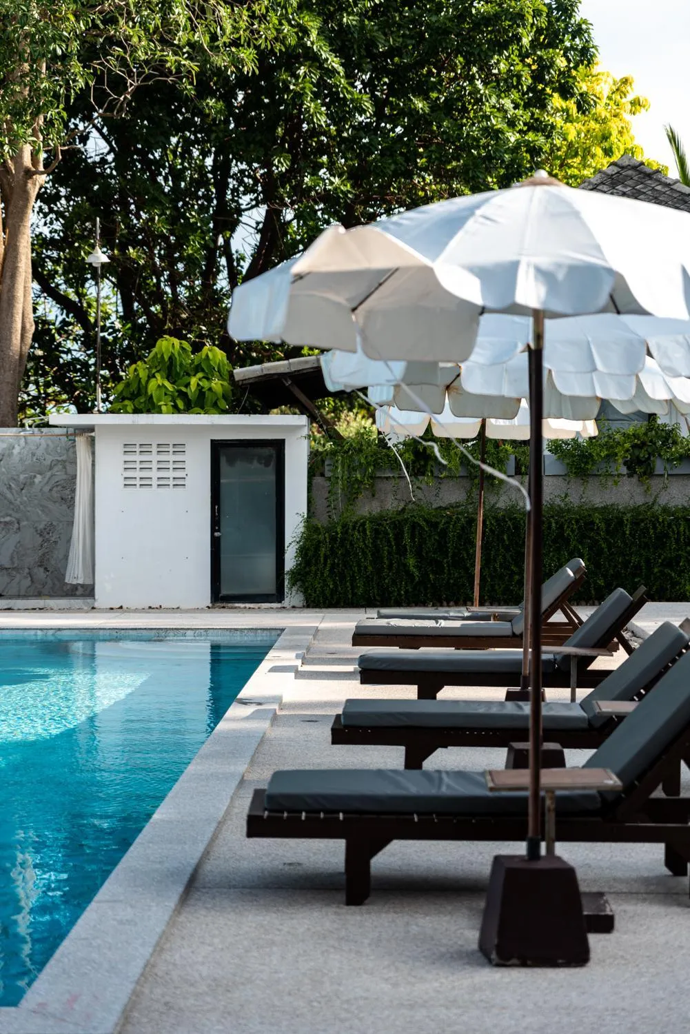 Swimming pool in The Hive Hotel