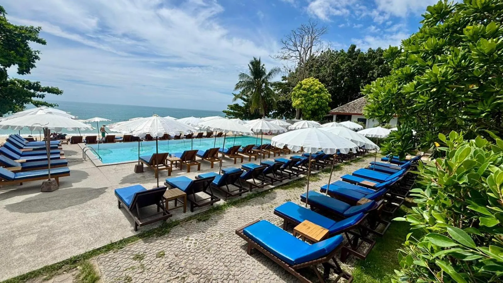 Swimming pool in The Hive Hotel