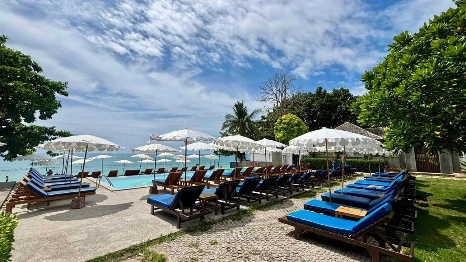 Day in The Hive Hotel