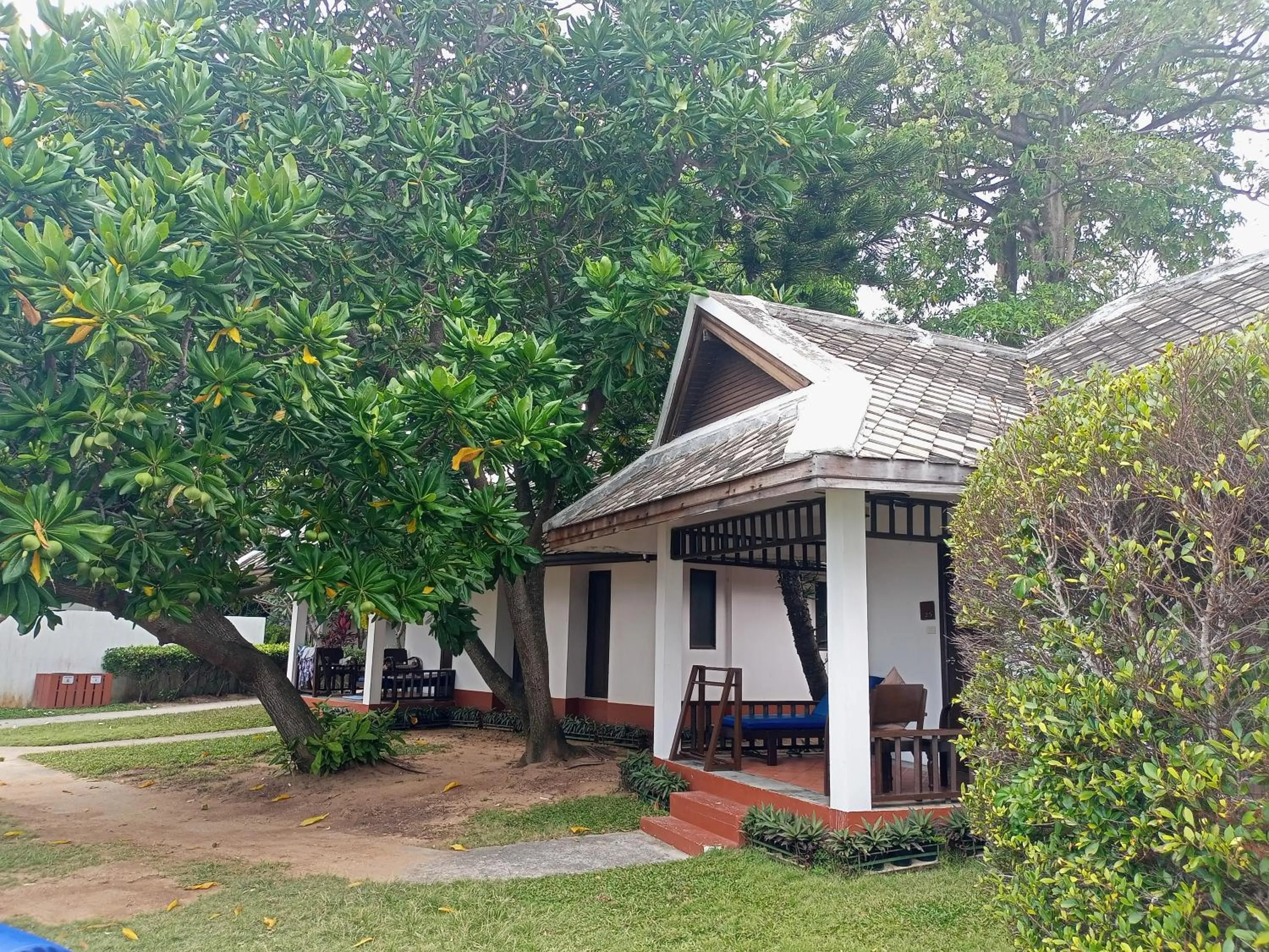 Garden view in The Hive Hotel