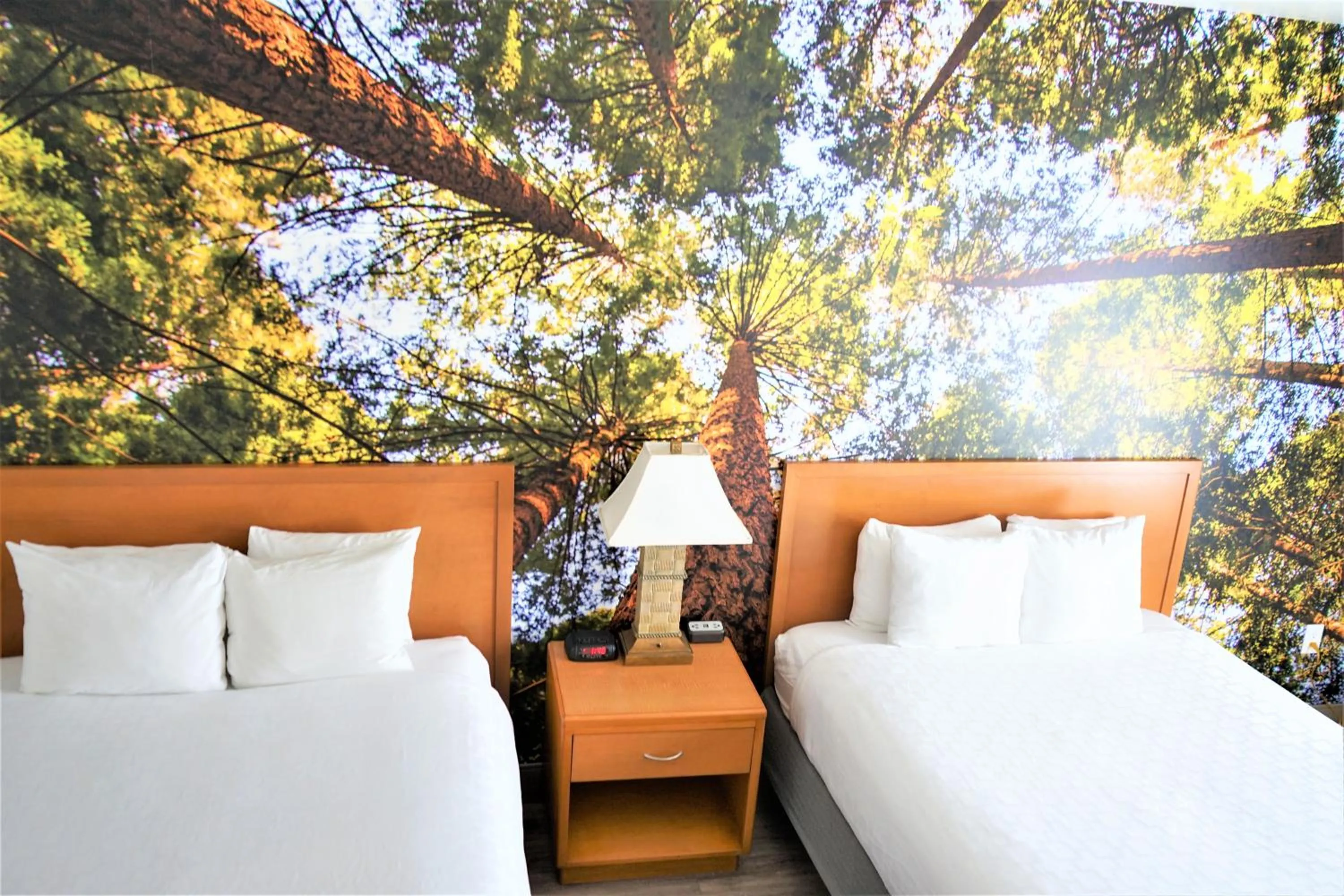 Bedroom, Bed in The Hanford Hotel