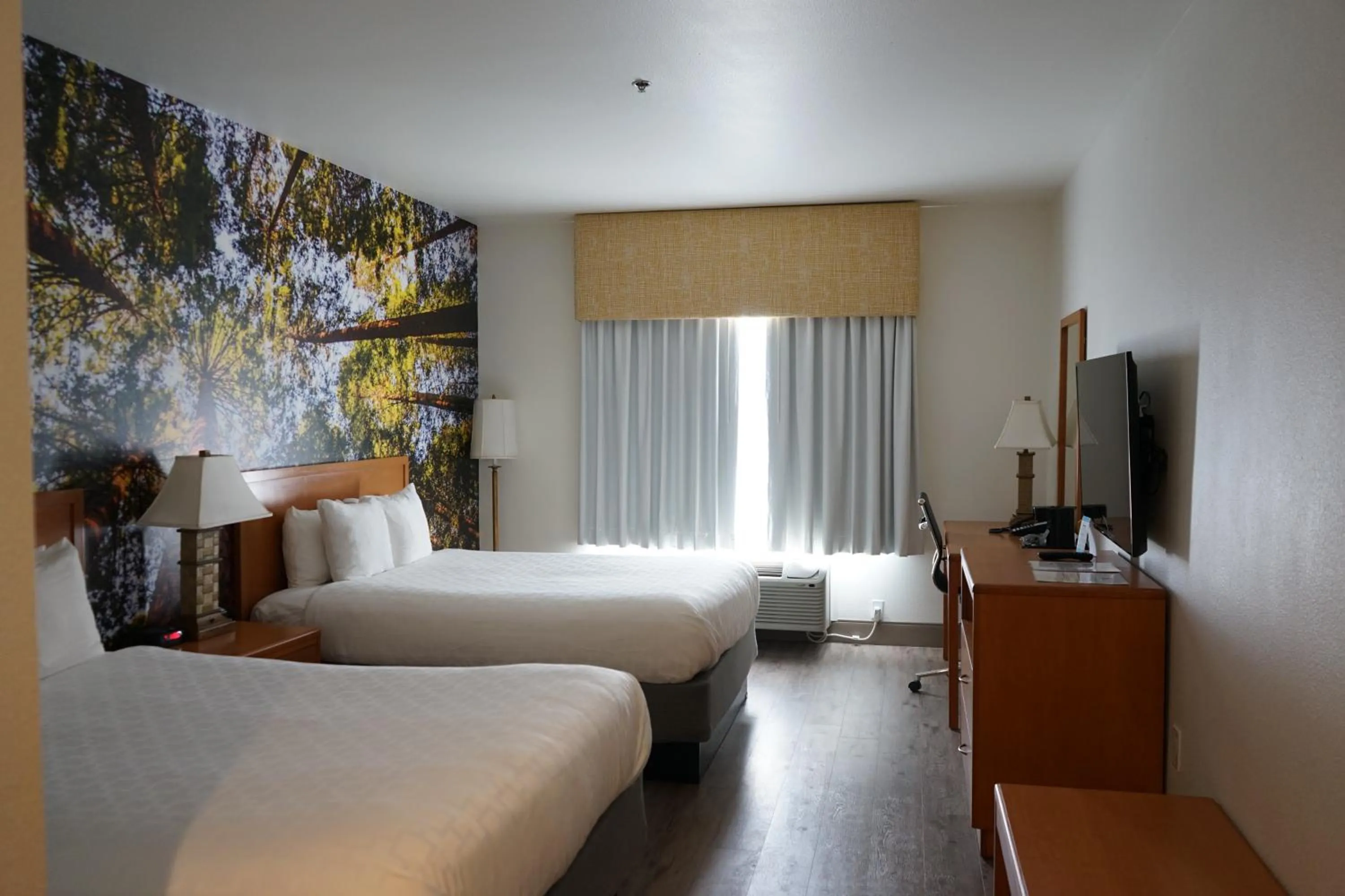 TV and multimedia, Bed in The Hanford Hotel