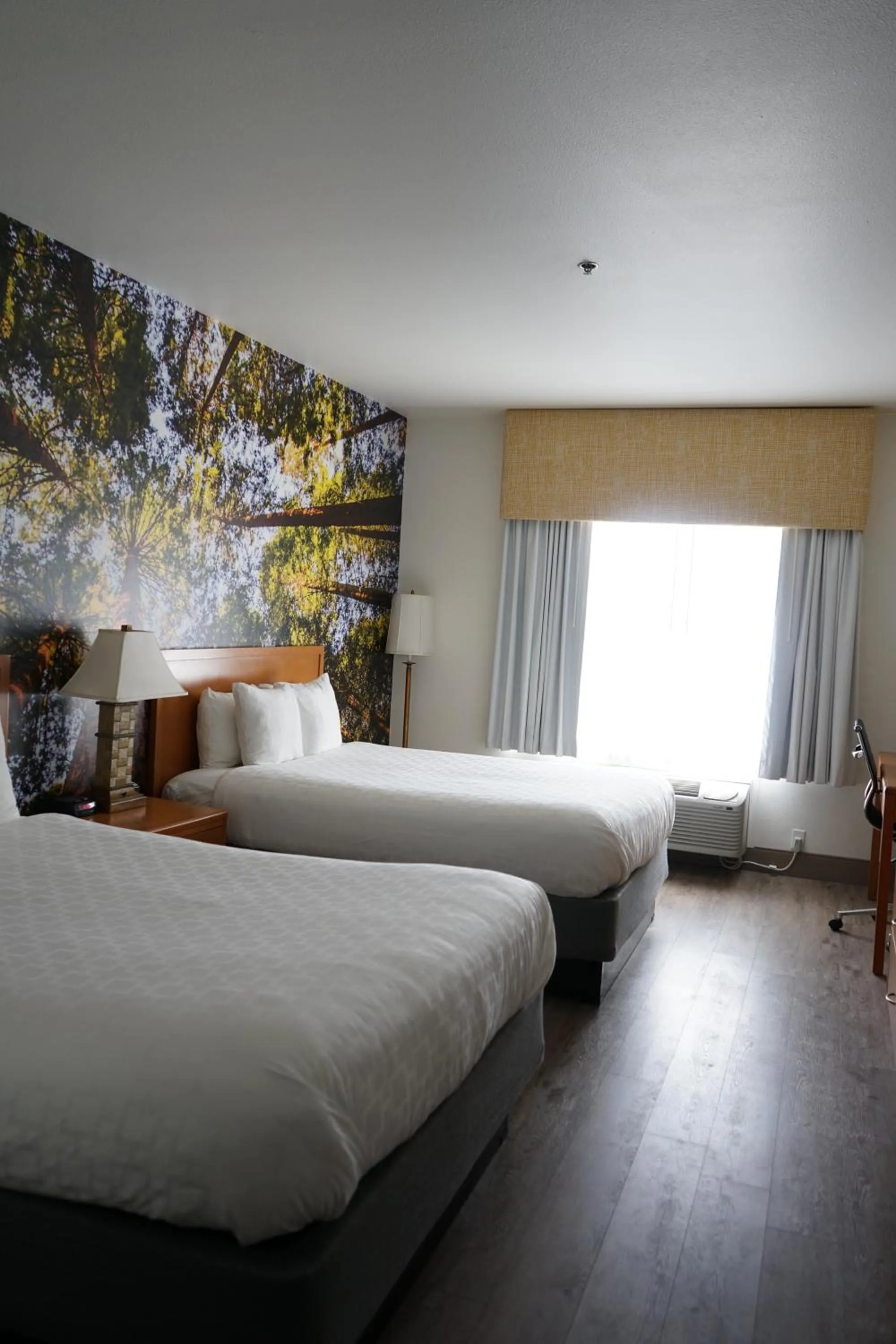 Bed in The Hanford Hotel