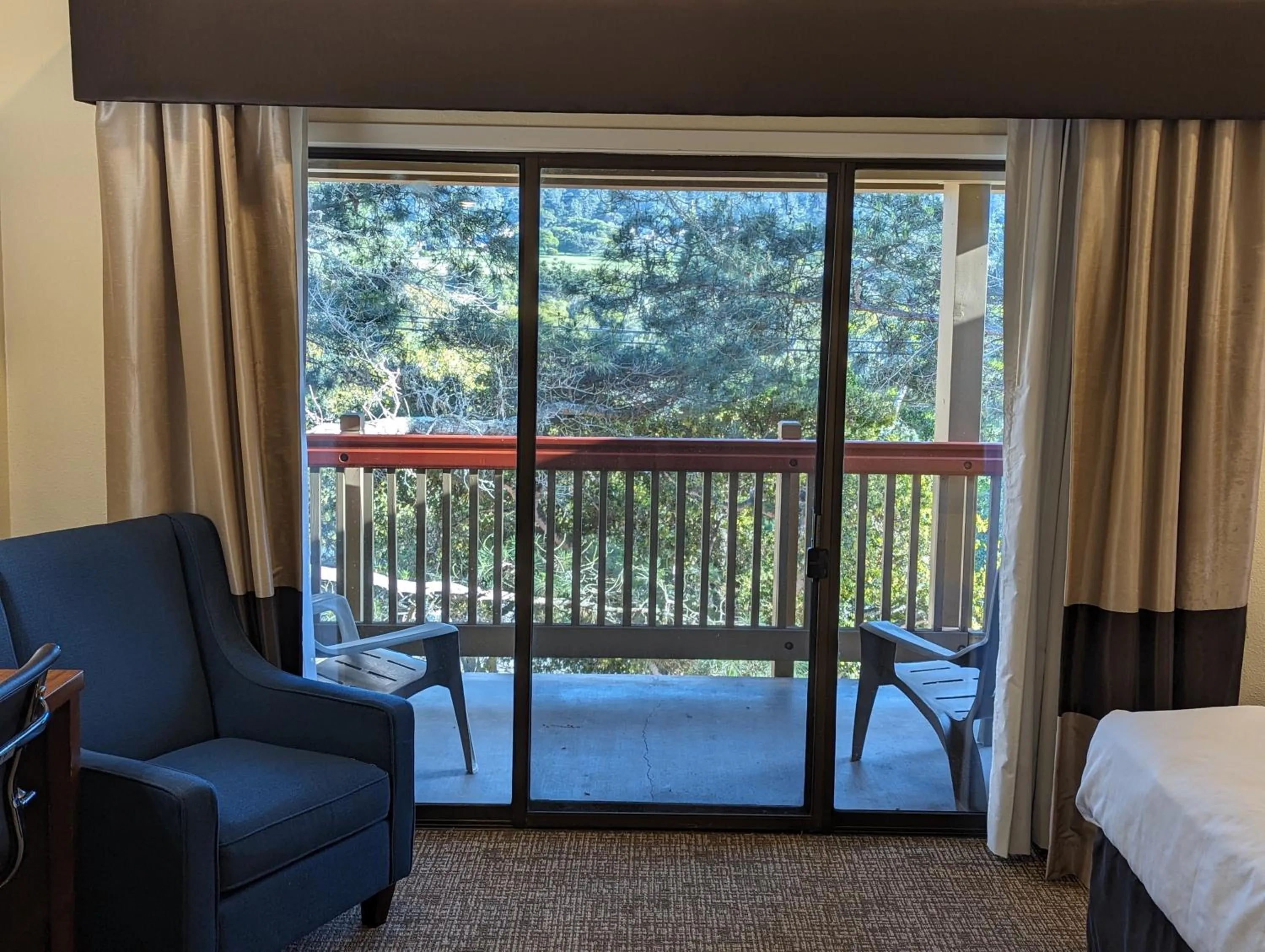 Garden view in Comfort Inn Monterey Peninsula Airport