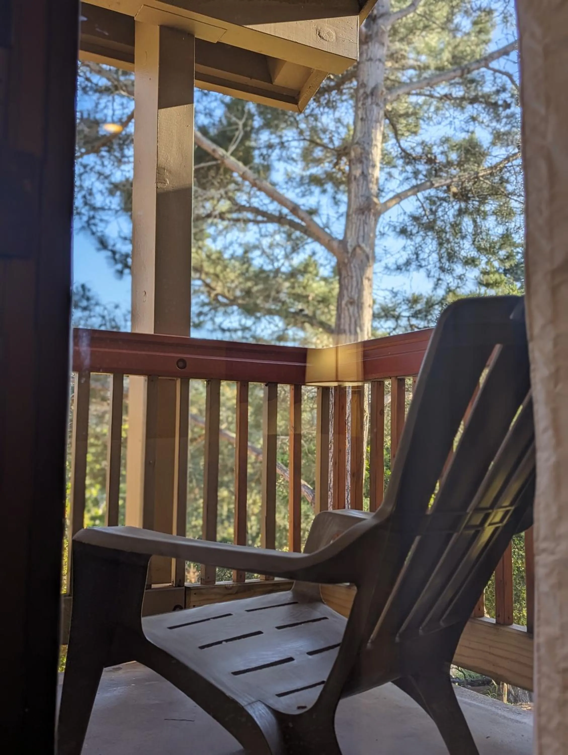 Balcony/Terrace in Comfort Inn Monterey Peninsula Airport