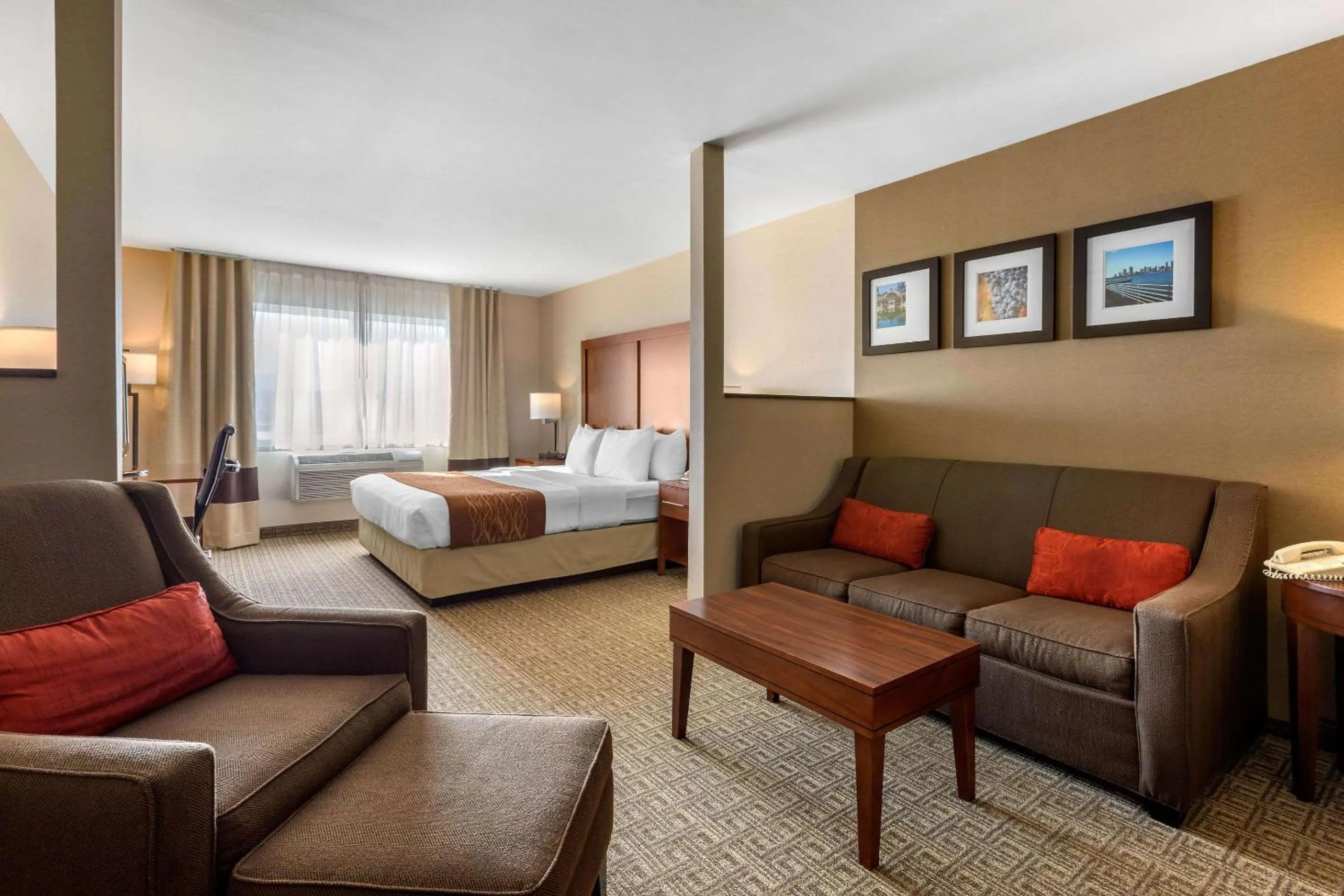 Photo of the whole room, Bed in Comfort Inn & Suites Murrieta Temecula Wine Country