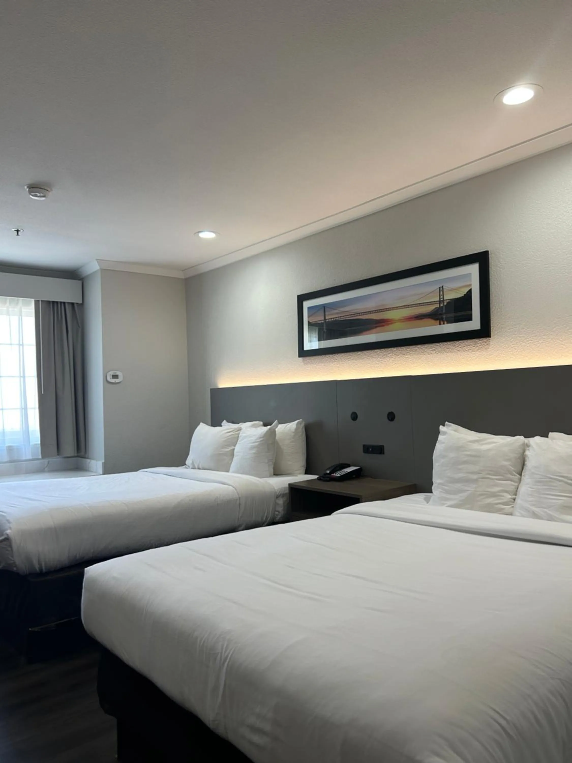 Bedroom, Bed in Quality Inn & Suites Santa Rosa South