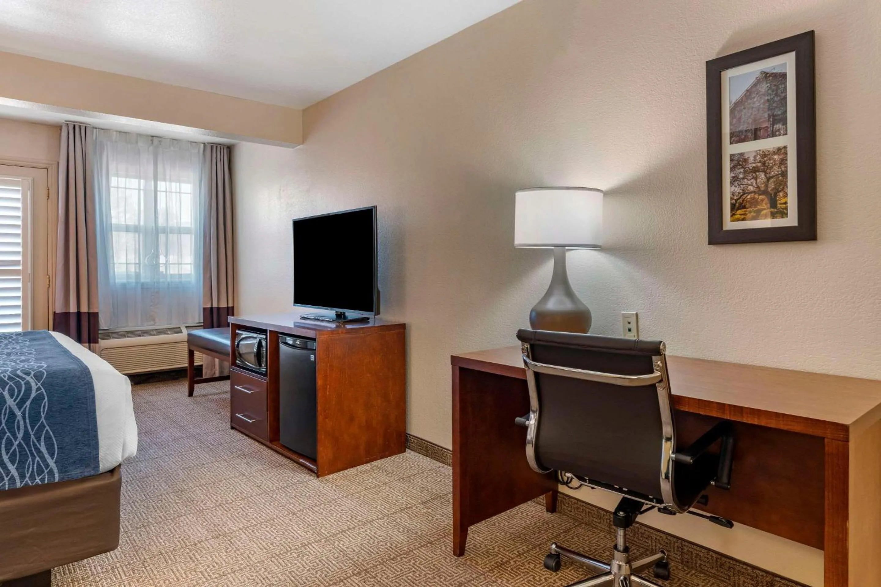 Bedroom, Bed in Comfort Inn & Suites Ukiah Mendocino County