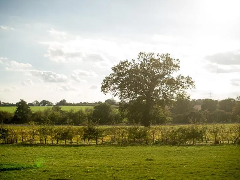 View (from property/room) in The White Horse Inn