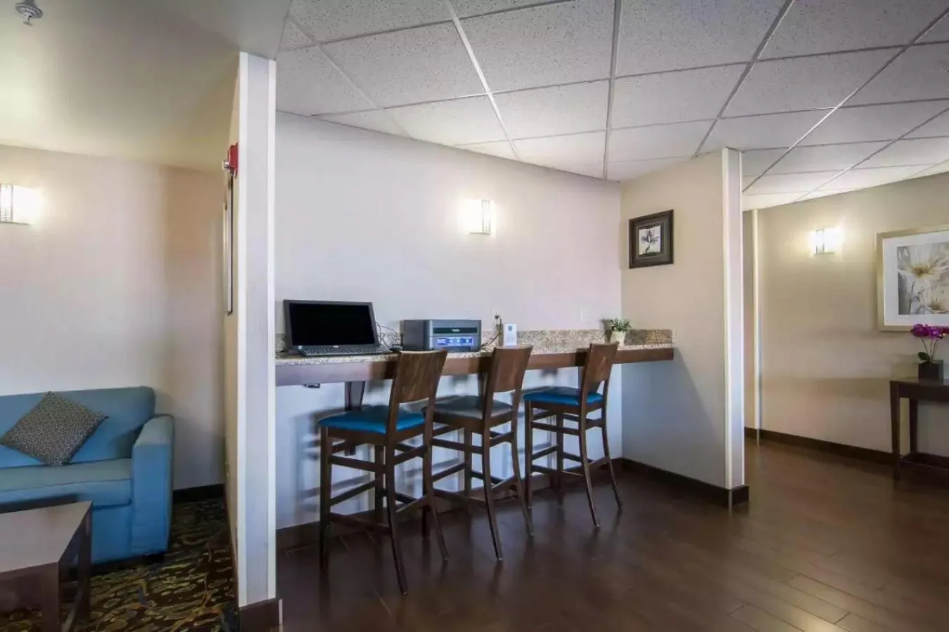 Business facilities in Comfort Inn & Suites South